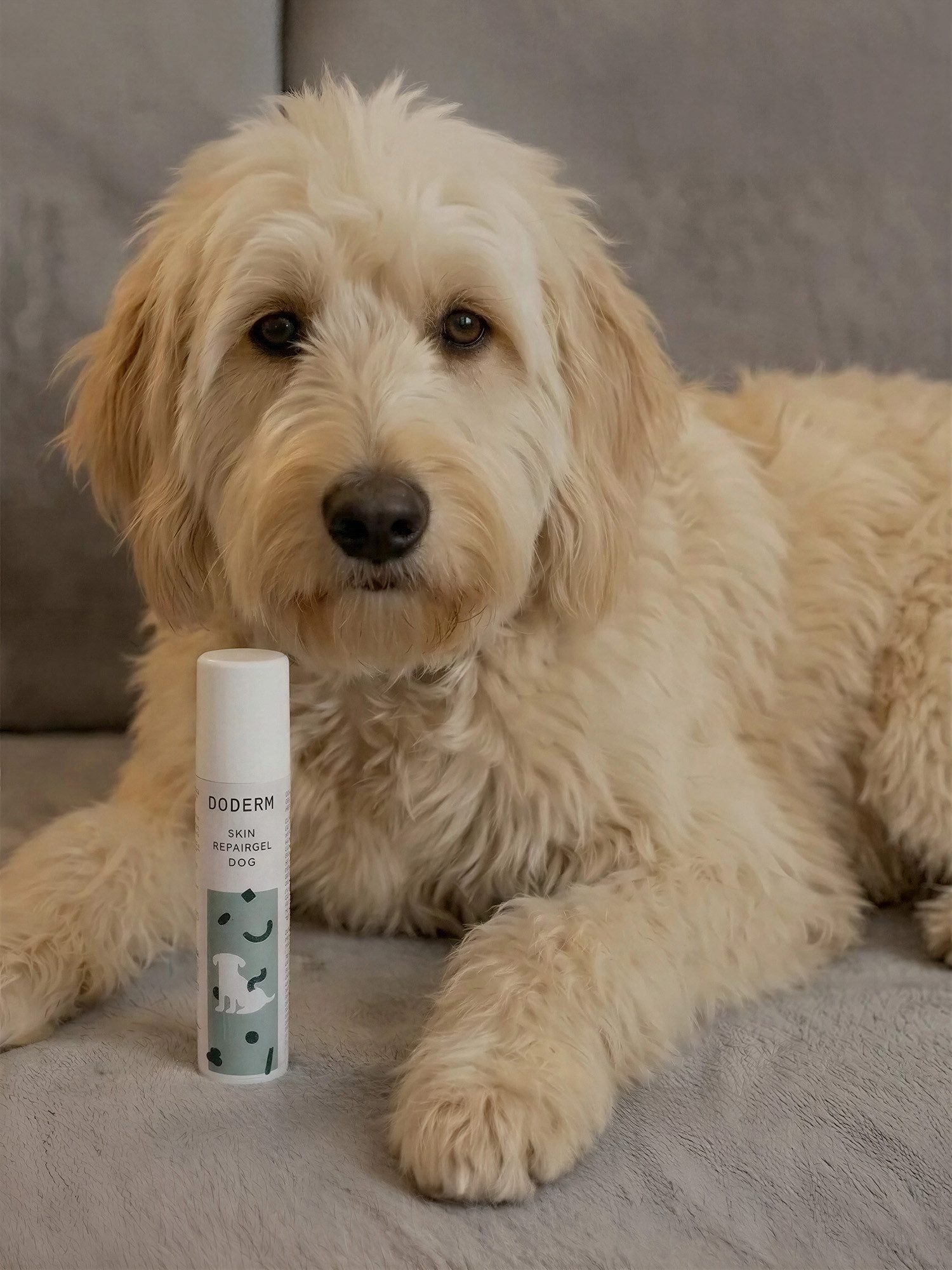 Doderm Hautpflegegel Skin Repairgel Dog - gegen gereizte, juckende oder gerötete Haut, Natürliche Hautpflege für Hunde mit Pflanzenextrakten und Honig