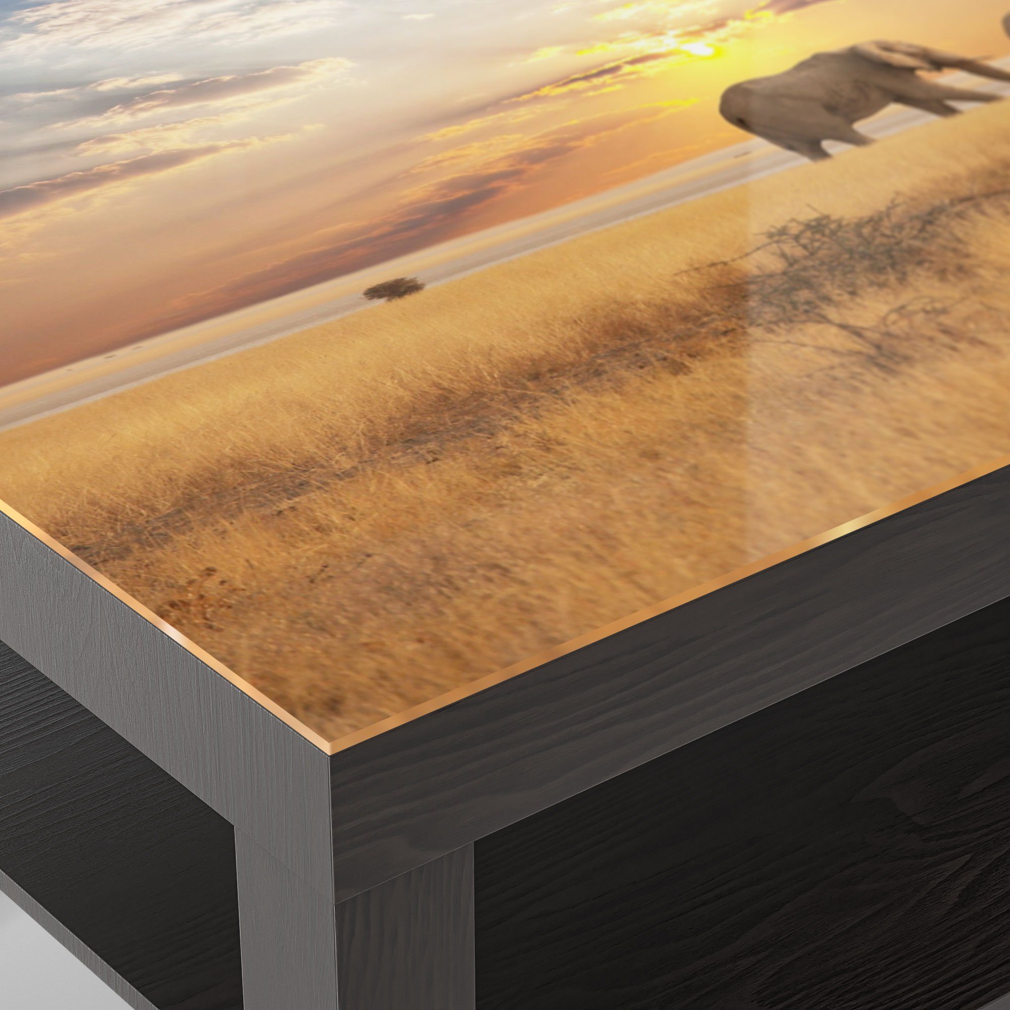 der Couchtisch Glas Glastisch 'Elefanten in Beistelltisch Steppe', modern DEQORI Schwarz