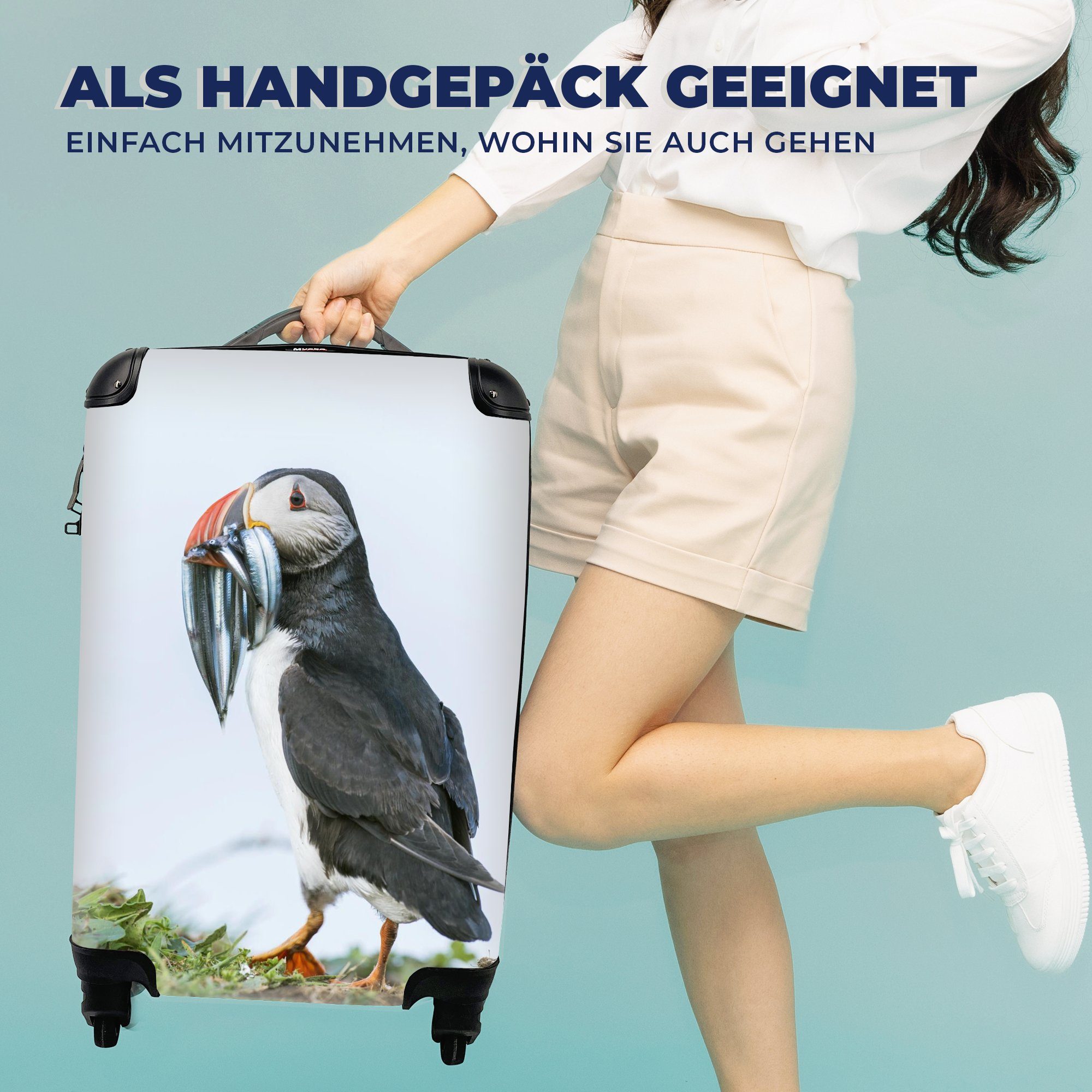 MuchoWow Handgepäckkoffer Schottischer Papageientaucher, 4 für Trolley, Reisetasche mit Reisekoffer Rollen, Ferien, Handgepäck rollen