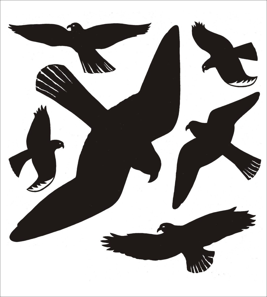 HERMA Etiketten Warnvögel 30x30cm schwarz VE=1 Blatt