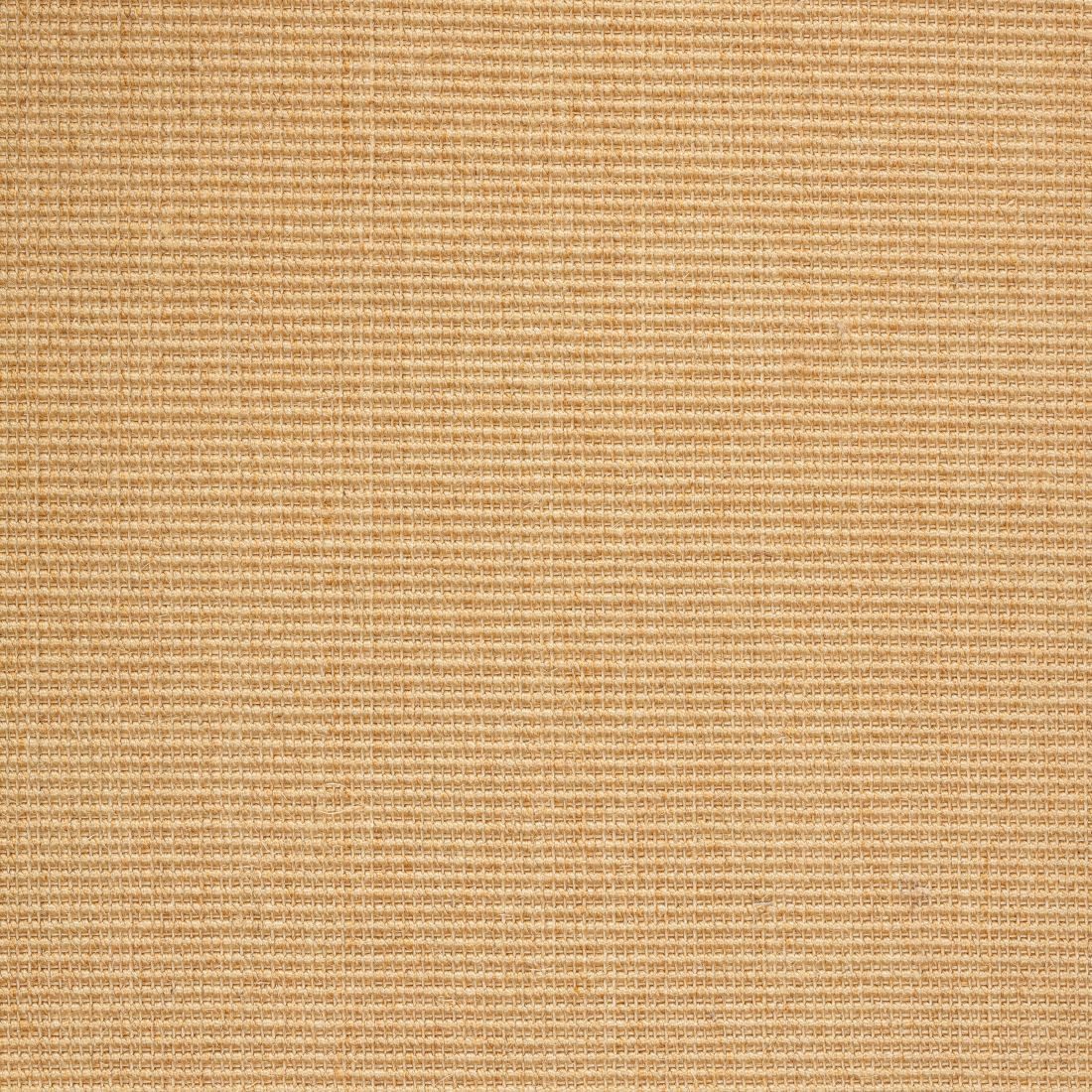 ASTRA Sisalteppich Sisal Premium Teppich ASTRA Manaus, Eckig