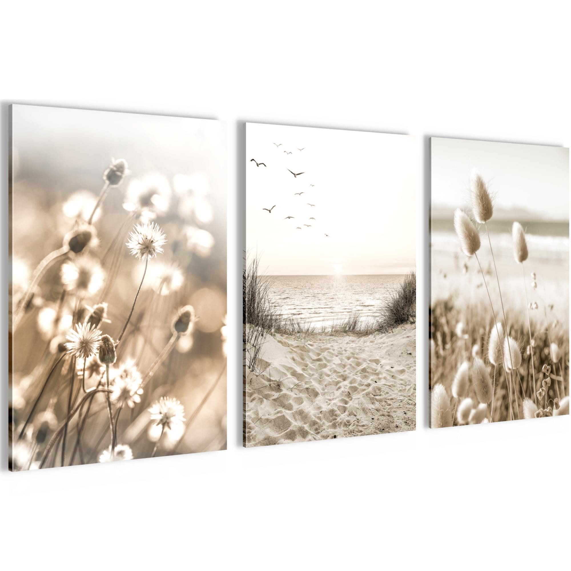 Novart Wandbild Bilder Boho Pampasgras AUFHÄNGFERTIG für Schlafzimmer Flur Deko Beige, 40 x 60 cm - 3 Bilder