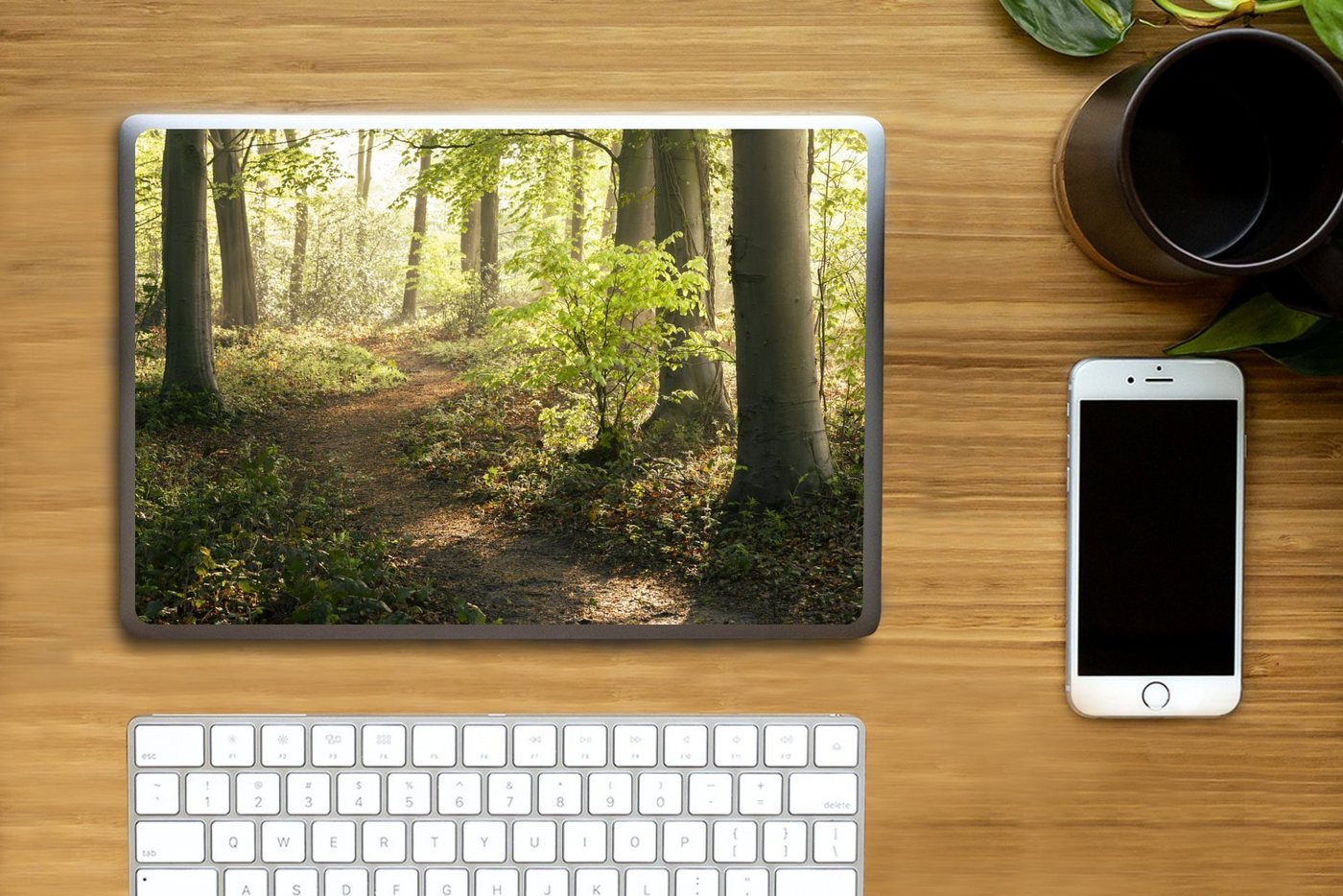 Thumbnail - MuchoWow Laptop-Aufkleber Wald - Bäume - Weg - Sonne - Pflanzen - Laub - Natur, (1tlg), Laptop Folien Cover, Aufkleber, ...