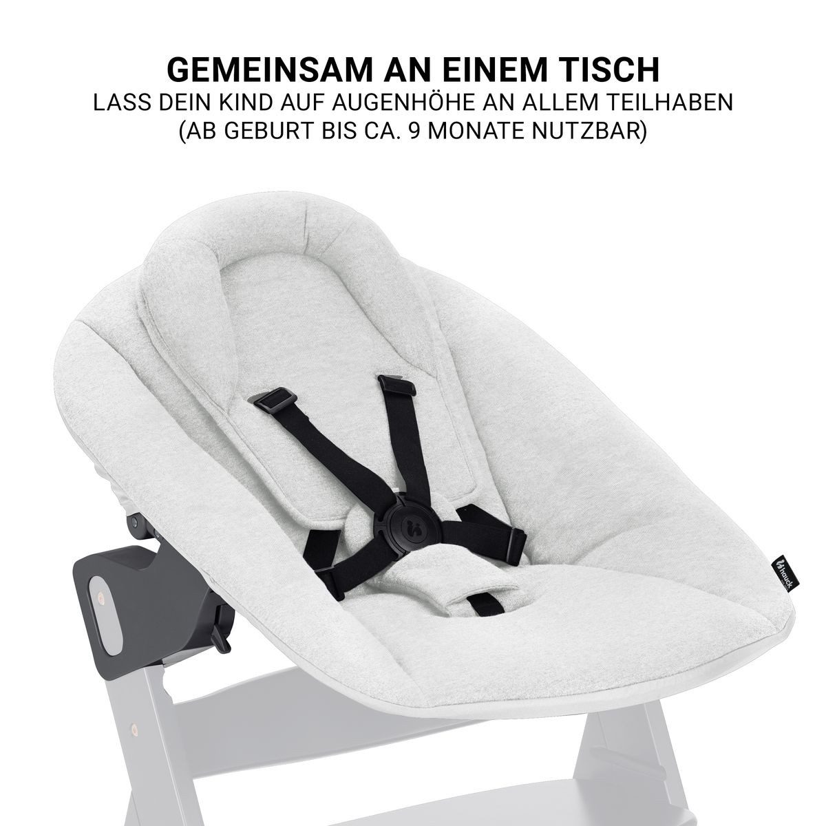 Hauck Hochstuhl Beta Plus Dark Grey - Newborn Set Premium (Set), Babystuhl ab Geburt mit Neugeborenen Aufsatz, Sitzpolster & Essbrett – Bild 5 von 5