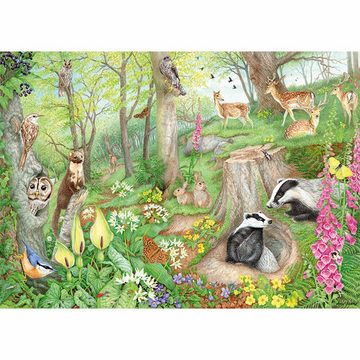 Jumbo Spiele Puzzle Falcon Woodland Wildlife 1000 Teile, 1000 Puzzleteile