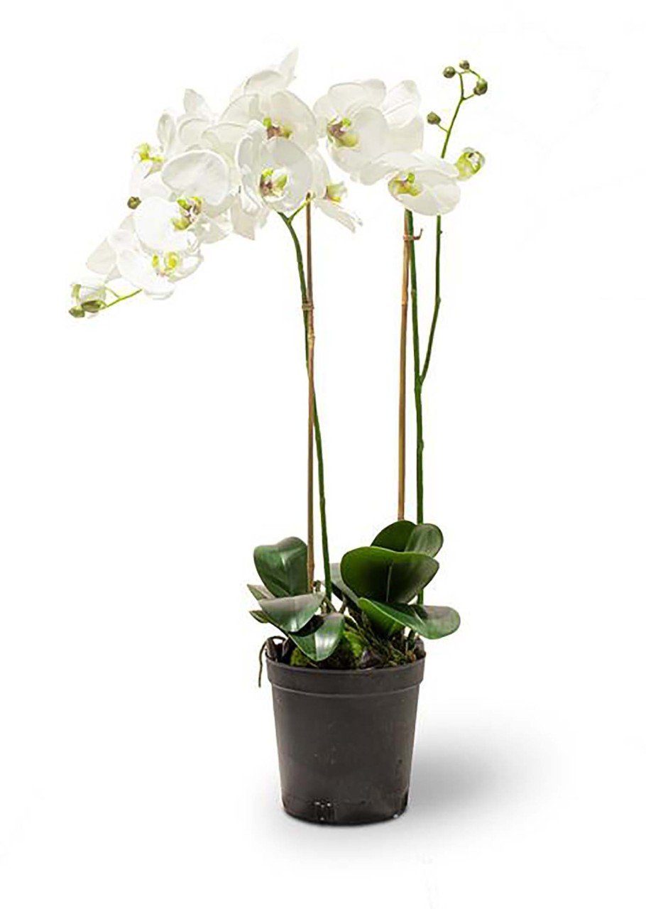 Kunstpflanze ami Kunstblume fleur Phalaenopsis,