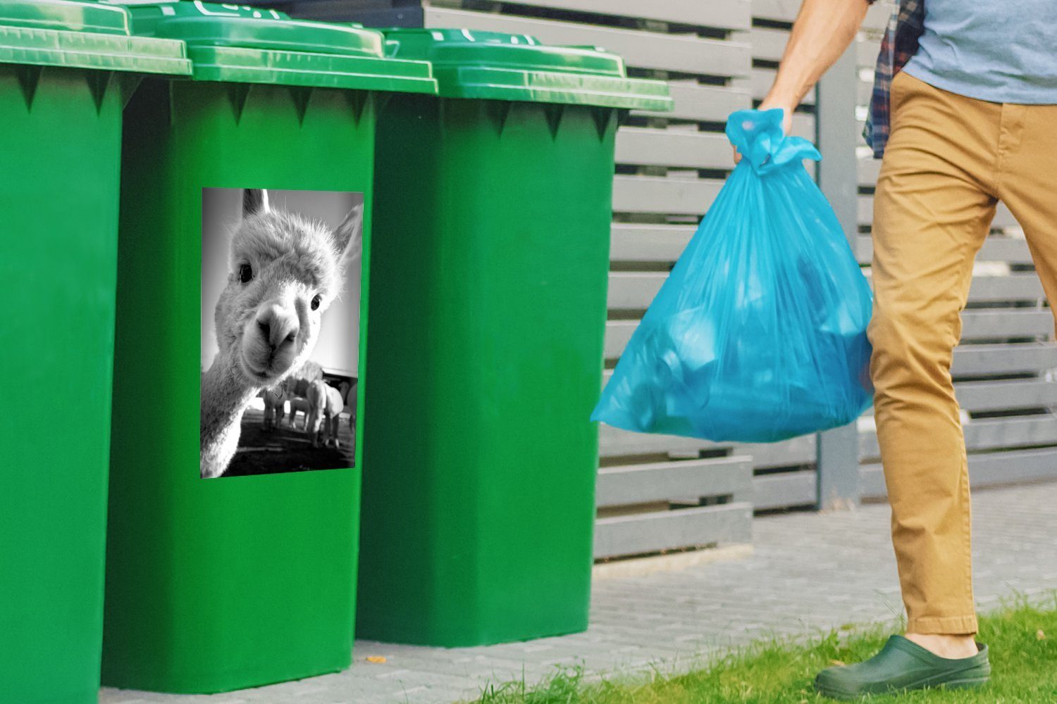 Mülltonne, Mülleimer-aufkleber, Container, schaut Baby - Abfalbehälter Kamera weiß St), (1 Sticker, Wandsticker Alpaka und MuchoWow in die schwarz