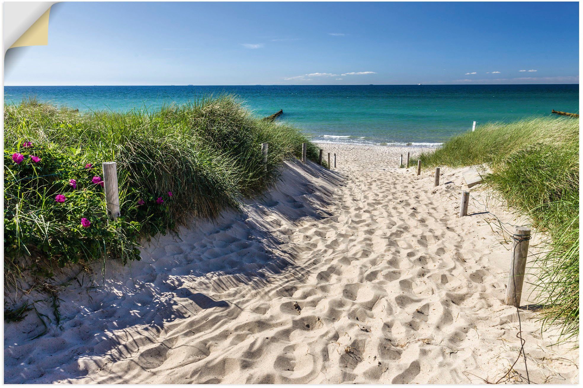 Artland Wandbild Weg zum Strand an günstig online kaufen