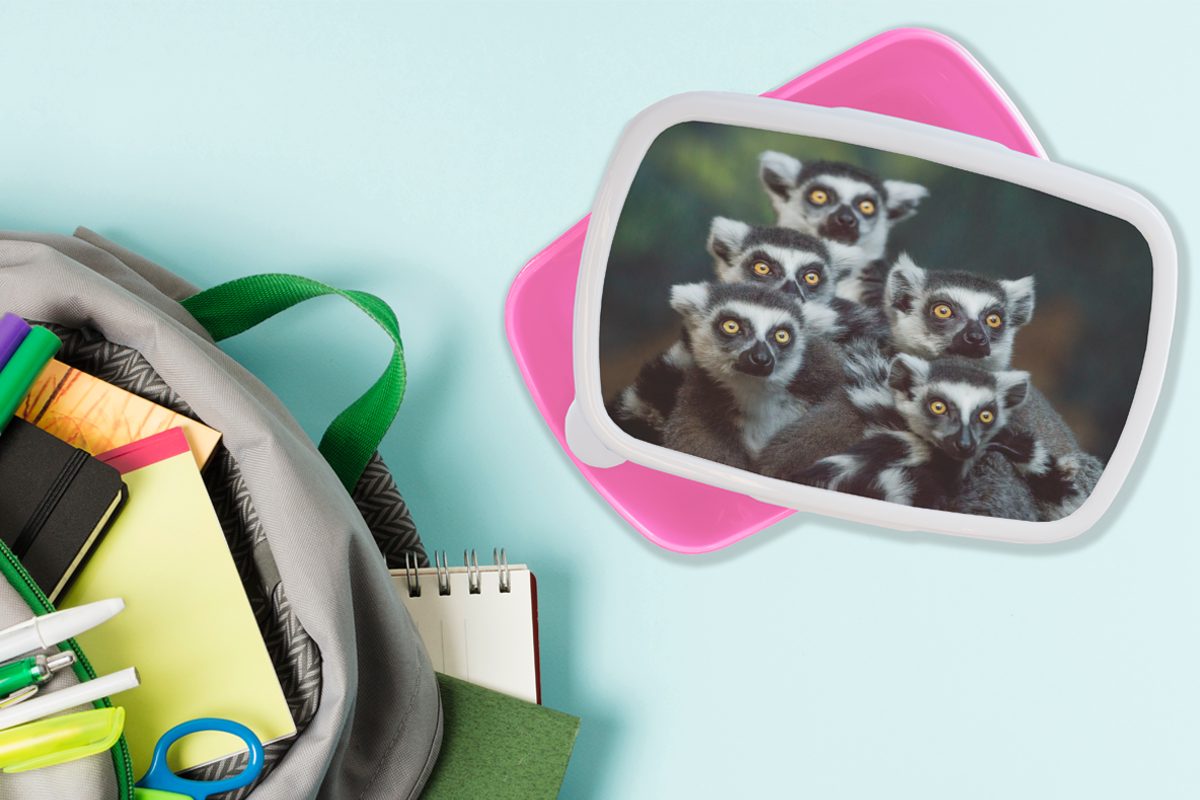 MuchoWow Lunchbox Affen - - Brotdose Tiere für Kunststoff, Mädchen, Erwachsene, Ringelschwanzlemuren, Brotbox (2-tlg), rosa Kinder, Kunststoff Snackbox