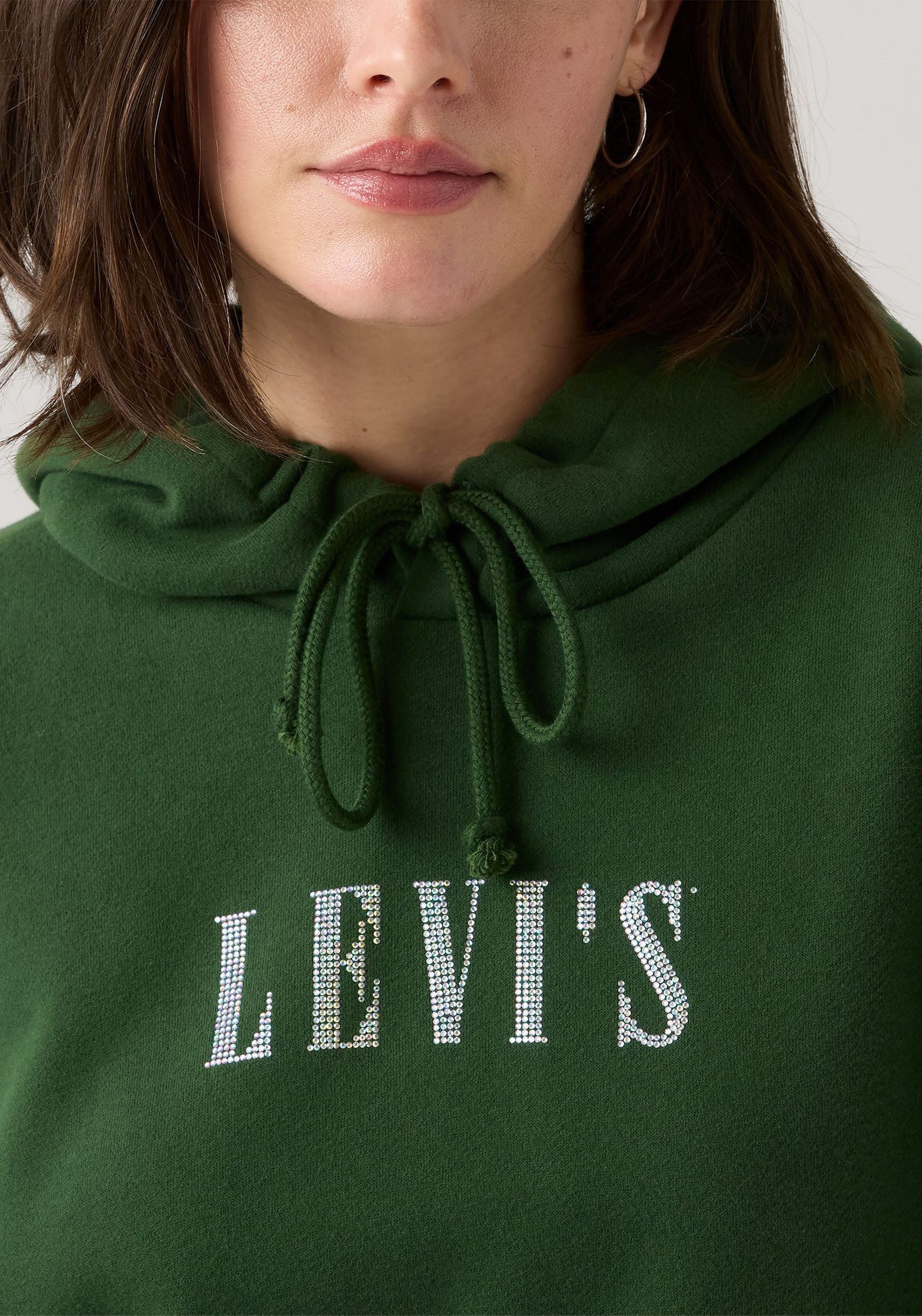Levi's® Hoodie GRAPHIC EVERYDAY mit Kapuze