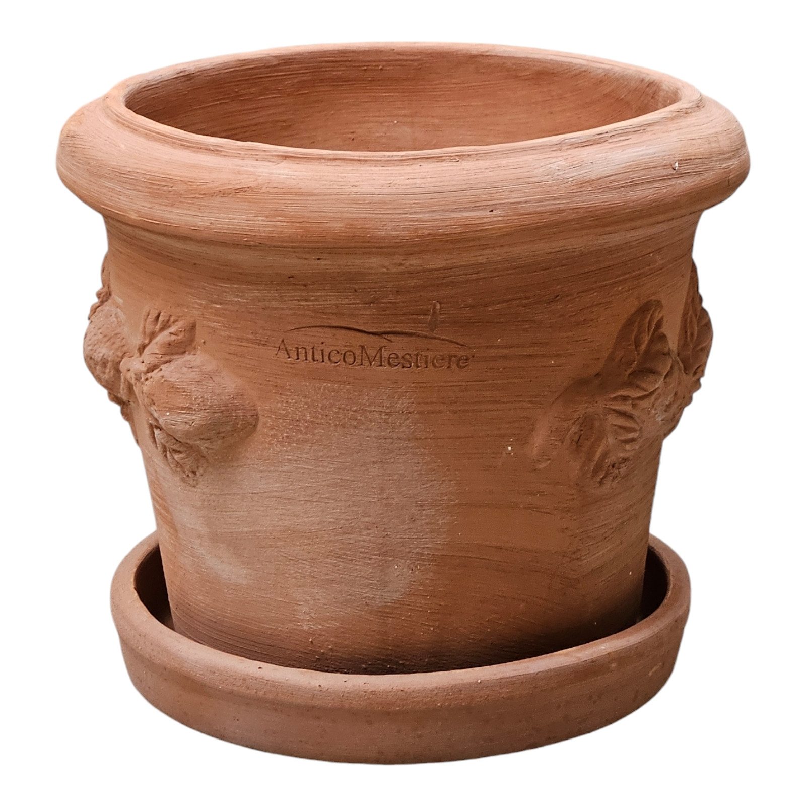 Teramico Pflanzkübel Blumentopf Pflanzentopf Terrakotta Limoni günstig online kaufen