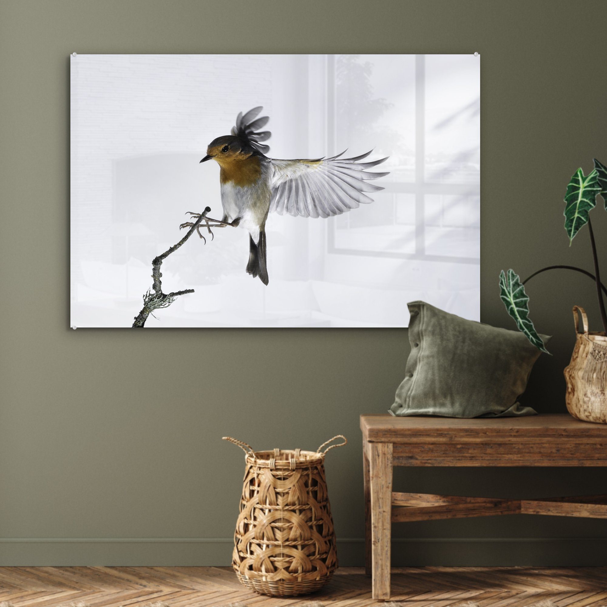 Acrylglasbilder Robin - Schlafzimmer (1 MuchoWow St), Zweig - Acrylglasbild Wohnzimmer Tiere, &
