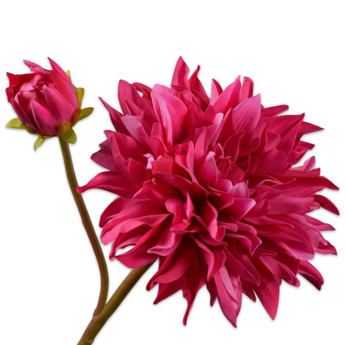 Künstliche Zimmerpflanze Seidenblume Dahlie Fuchsia (81cm), SILK-KA