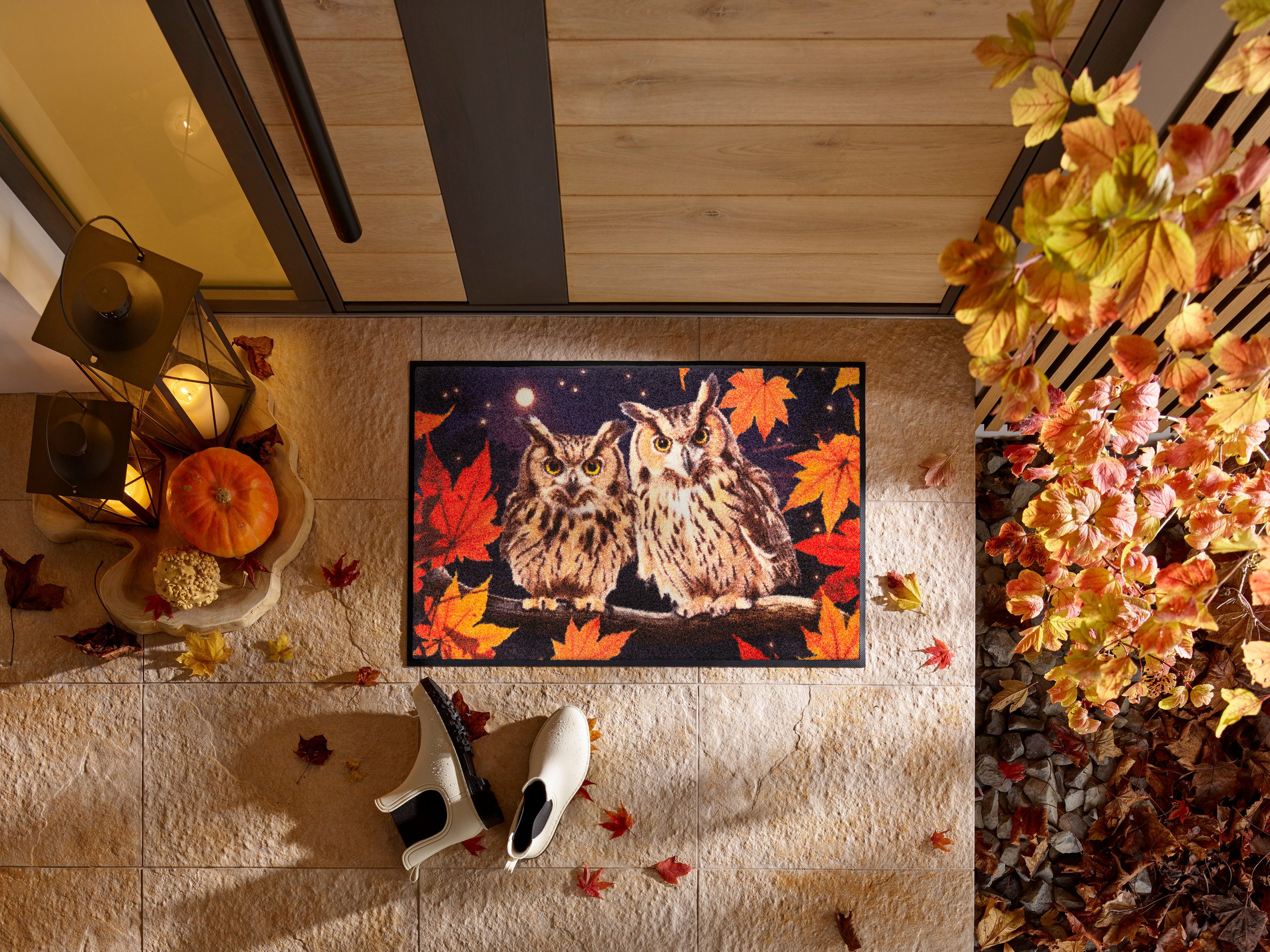 wash+dry by Kleen-Tex Fußmatte Night Owls, rechteckig, Höhe: 7 mm günstig online kaufen