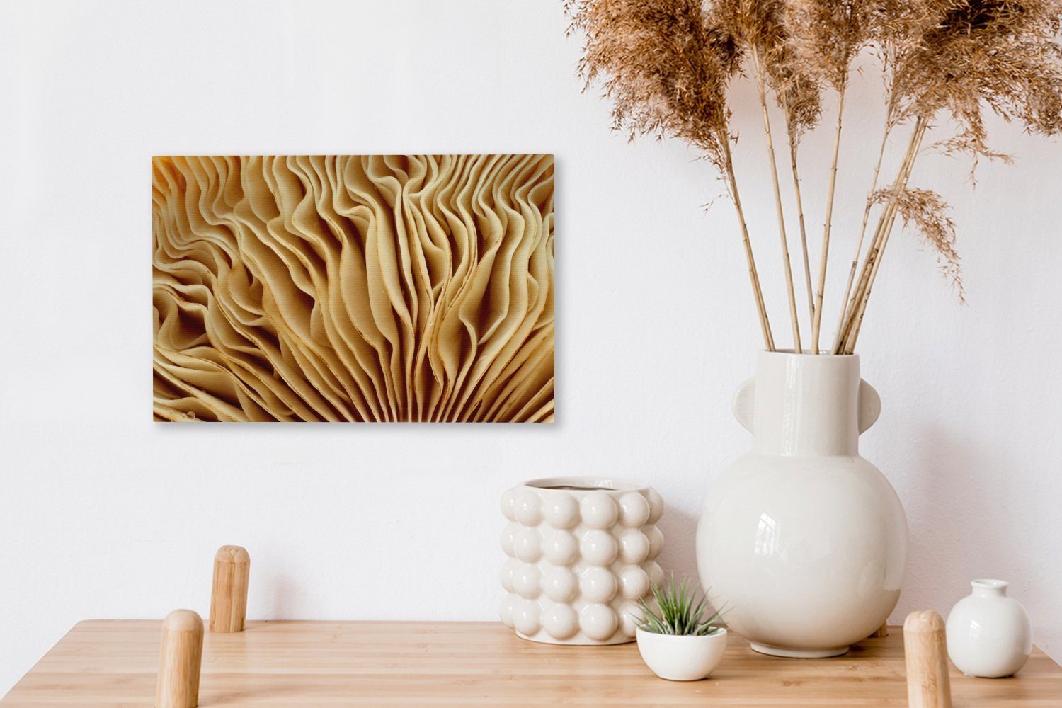 (1 Bild OneMillionCanvasses® Aufhängefertig, Wandbild Leinwandbild eines Wanddeko, cm St), 30x20 Leinwandbilder, Pilzes,