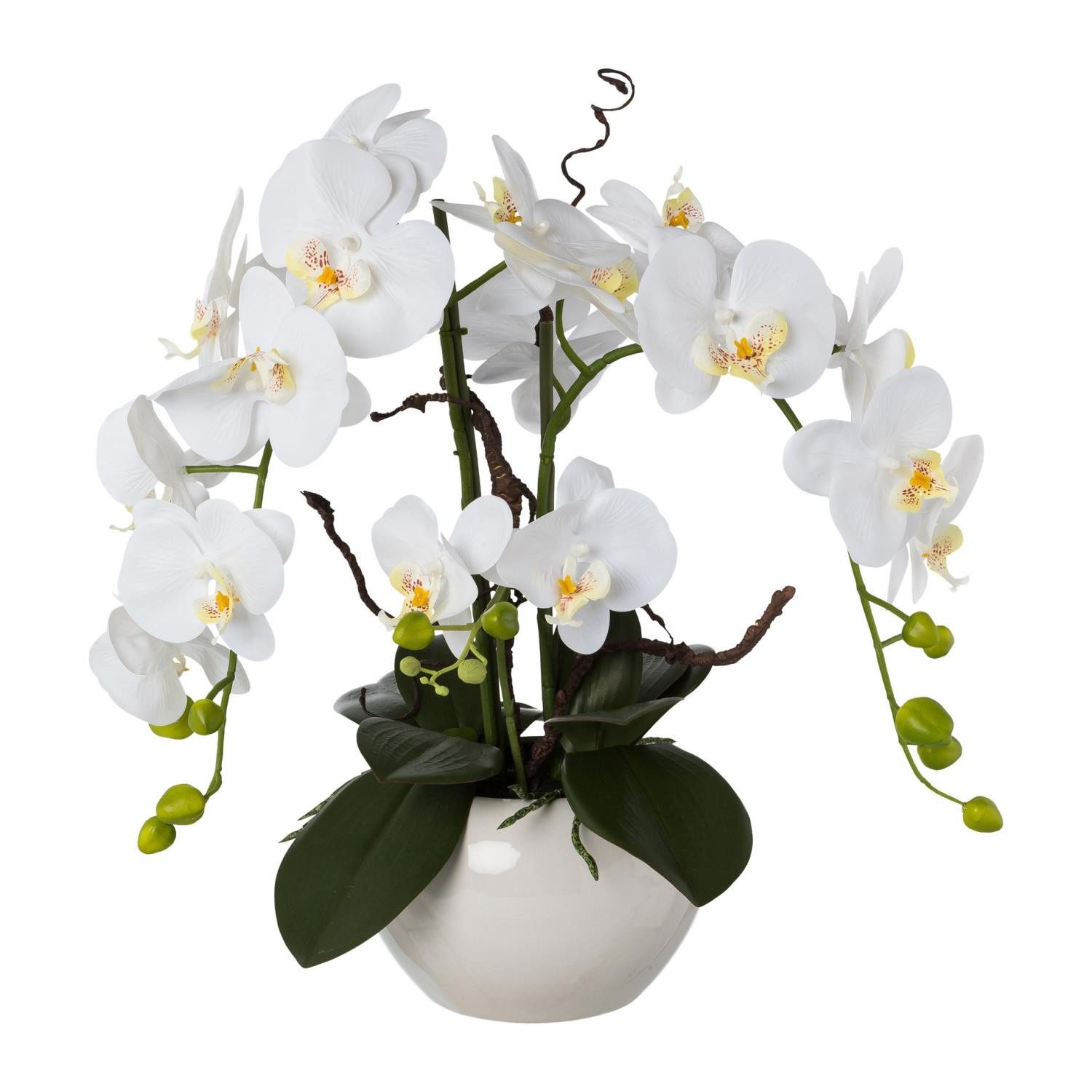 Kunstblume Orchidee, Gasper, Höhe 49 cm, Im Topf, Weiß, Orchidee, H: 49cm
