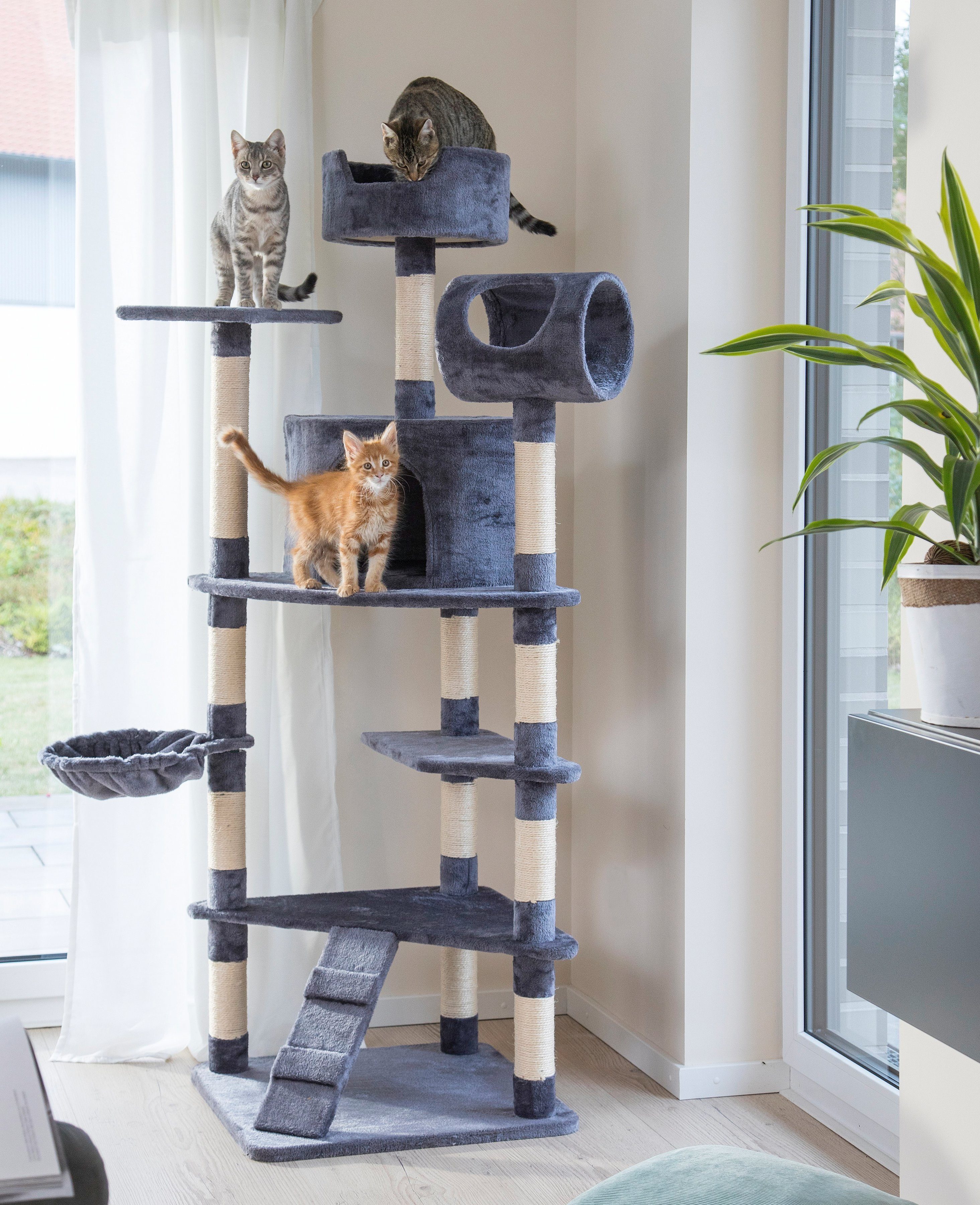 ABUKI Kratzbaum Pearl, BxTxH: 100x85x177 cm