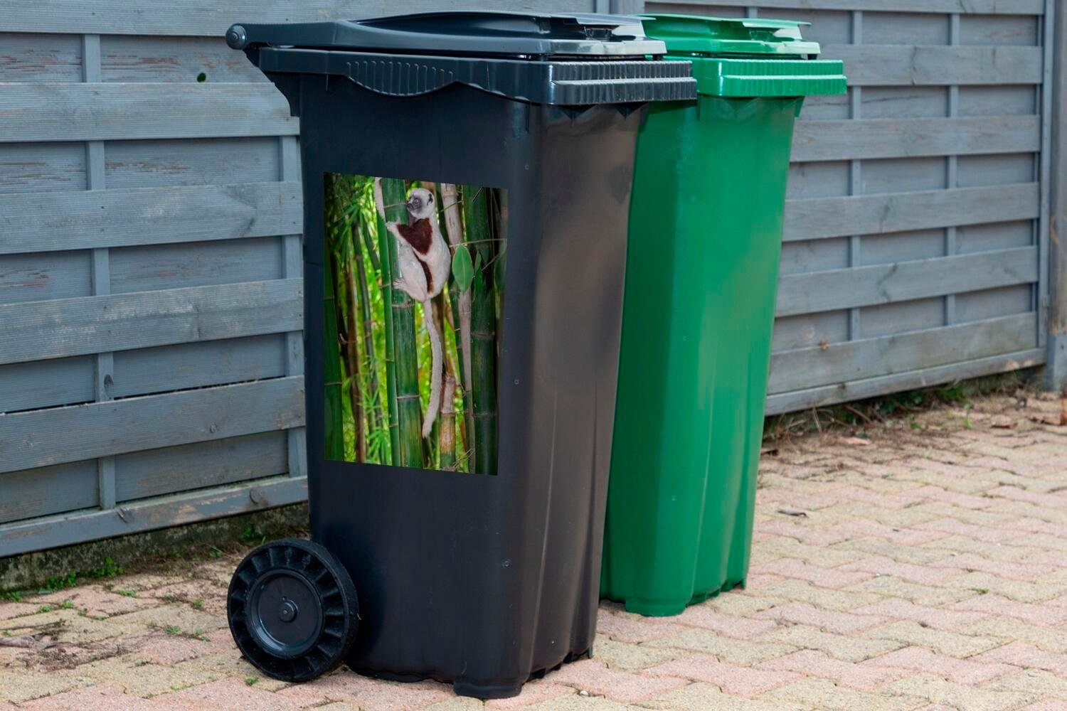 Wandsticker Lemuren-Affe Container, hängend St), Sticker, Mülltonne, Bambus im Abfalbehälter MuchoWow Mülleimer-aufkleber, (1