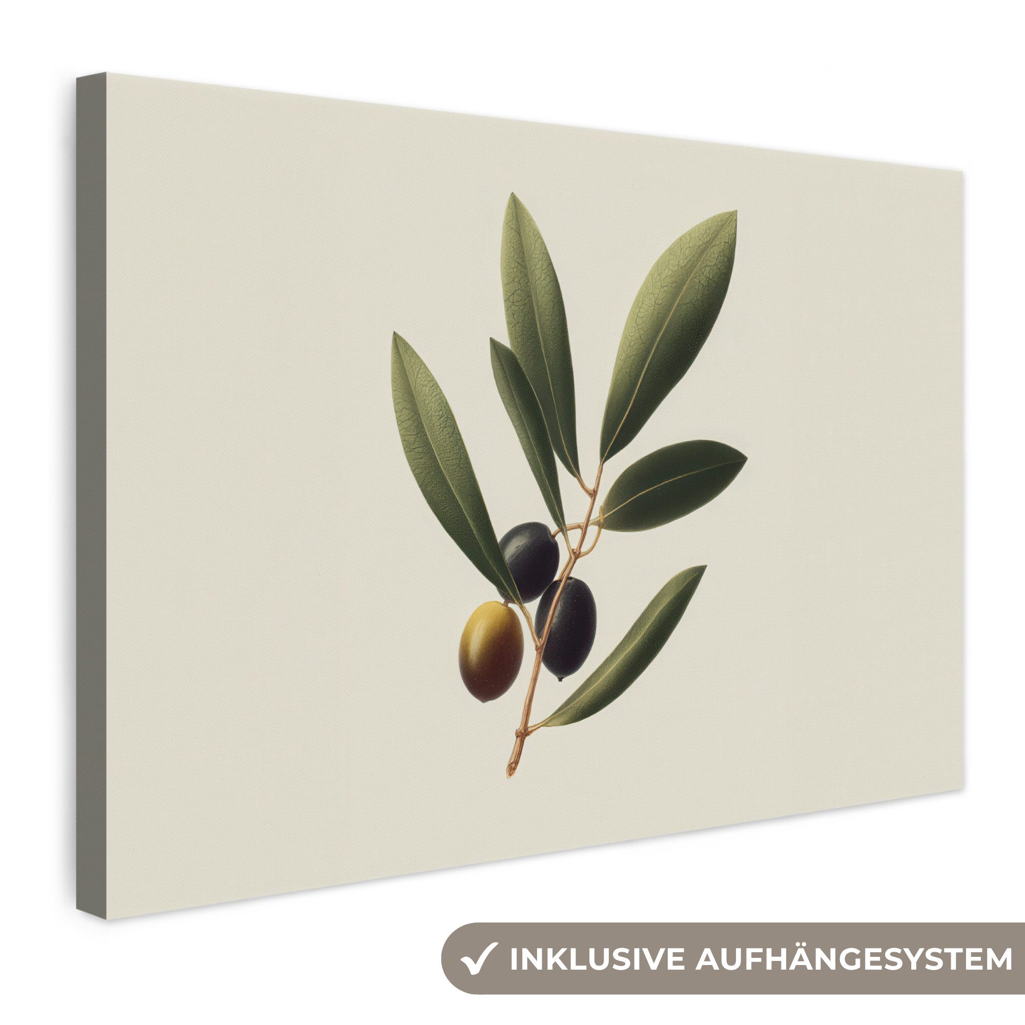 OneMillionCanvasses® Leinwandbild Olivenzweig - Dunkelgrün - Oliven, Fotodruck (1 St), Leinwand Bilder Klein, Wand Dekoration Aesthetic 30x20 cm