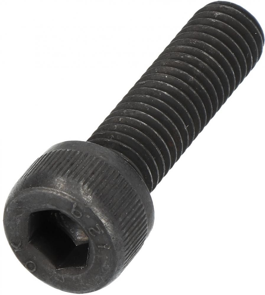 Shimano Fahrradkette SHIMANO Schraube TL-CN26 - Kettenführungs-Schraube, ca. 16 g