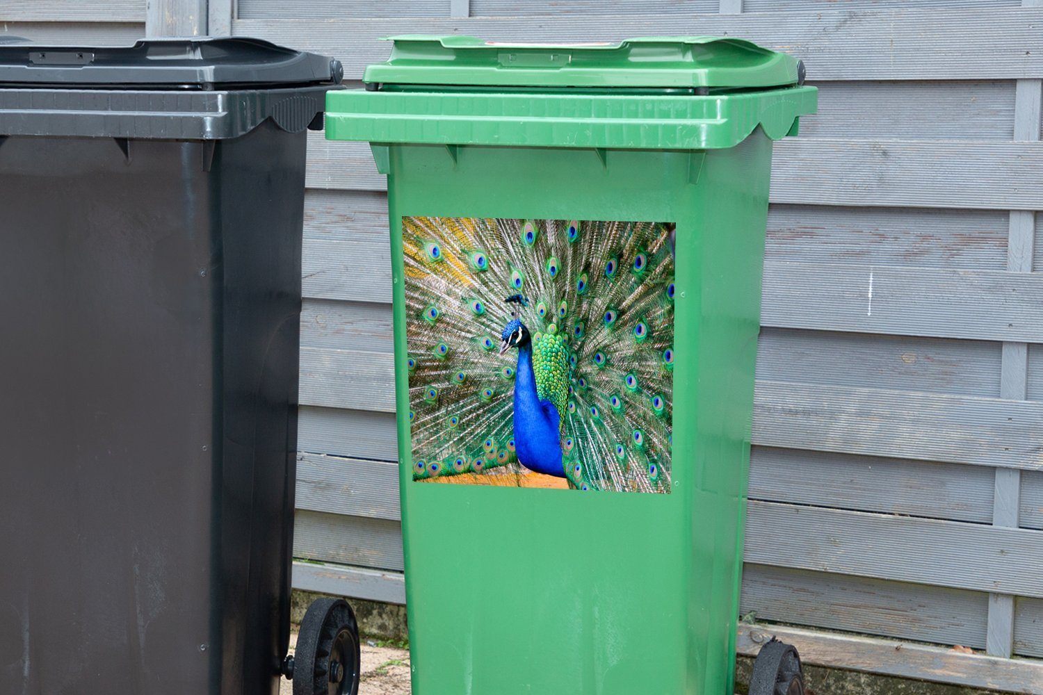 (1 Mülltonne, Blau Pfau - MuchoWow - Wandsticker Mülleimer-aufkleber, Abfalbehälter Sticker, Container, St), Federn