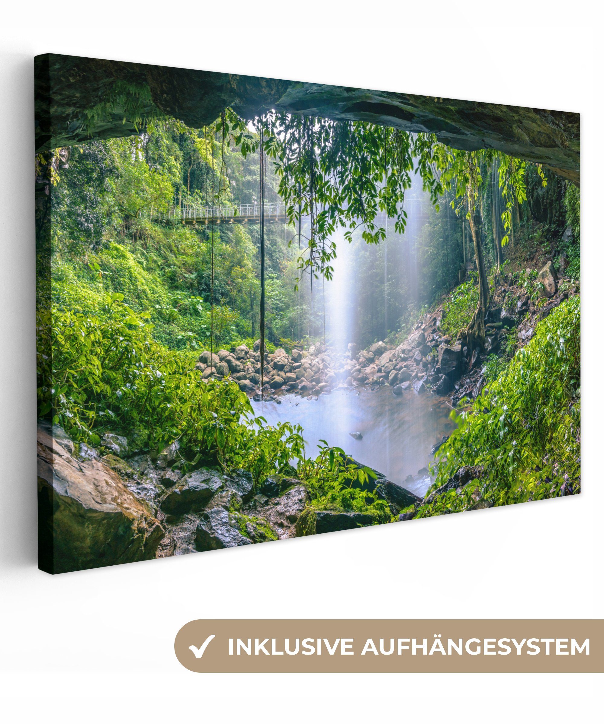 Leinwandbild Dschungel - Regenwald - Wasser - Wasserfall - Pflanzen
