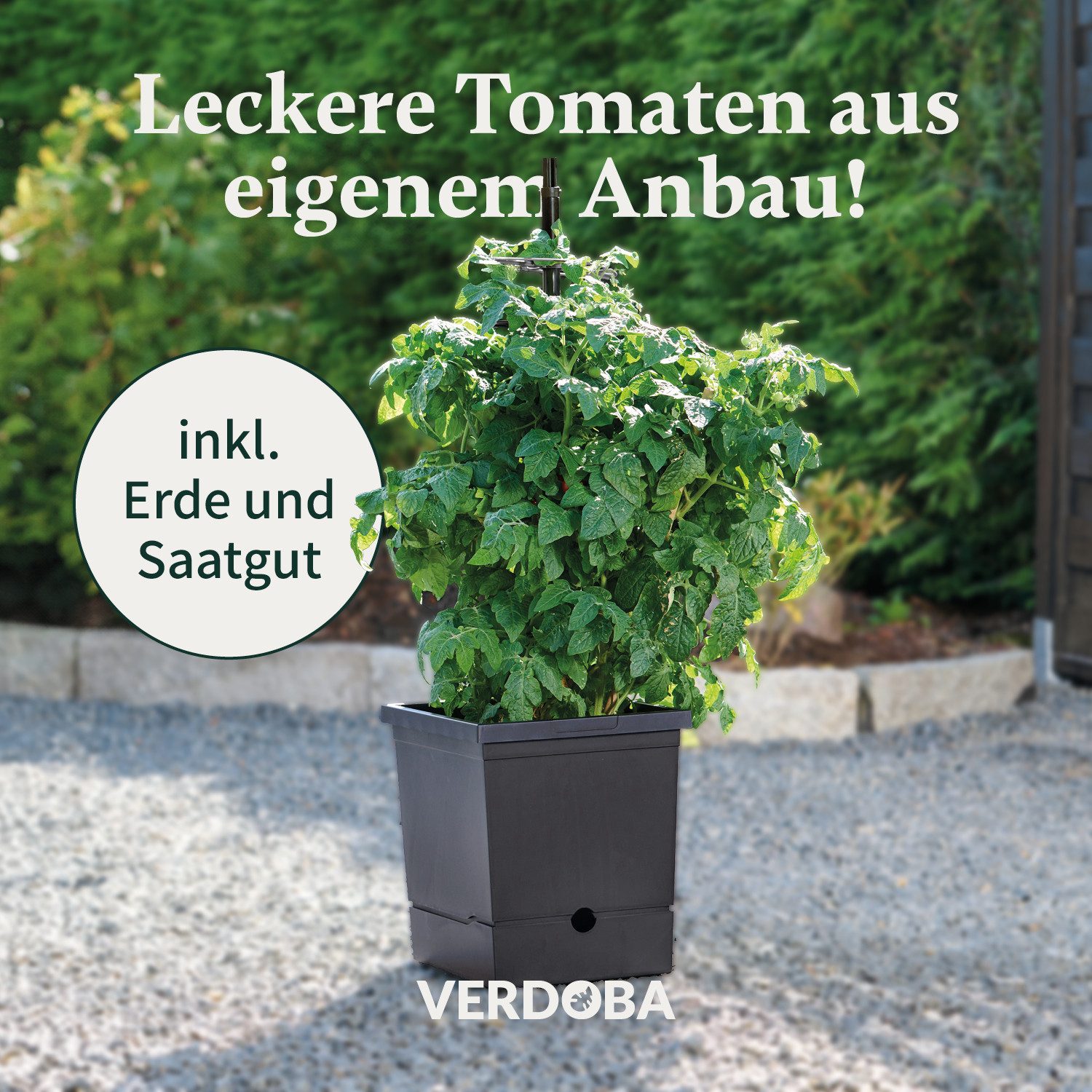 VERDOBA Pflanzkübel Nachhaltiger Tomatentopf Tomaten Anzuchtset günstig online kaufen