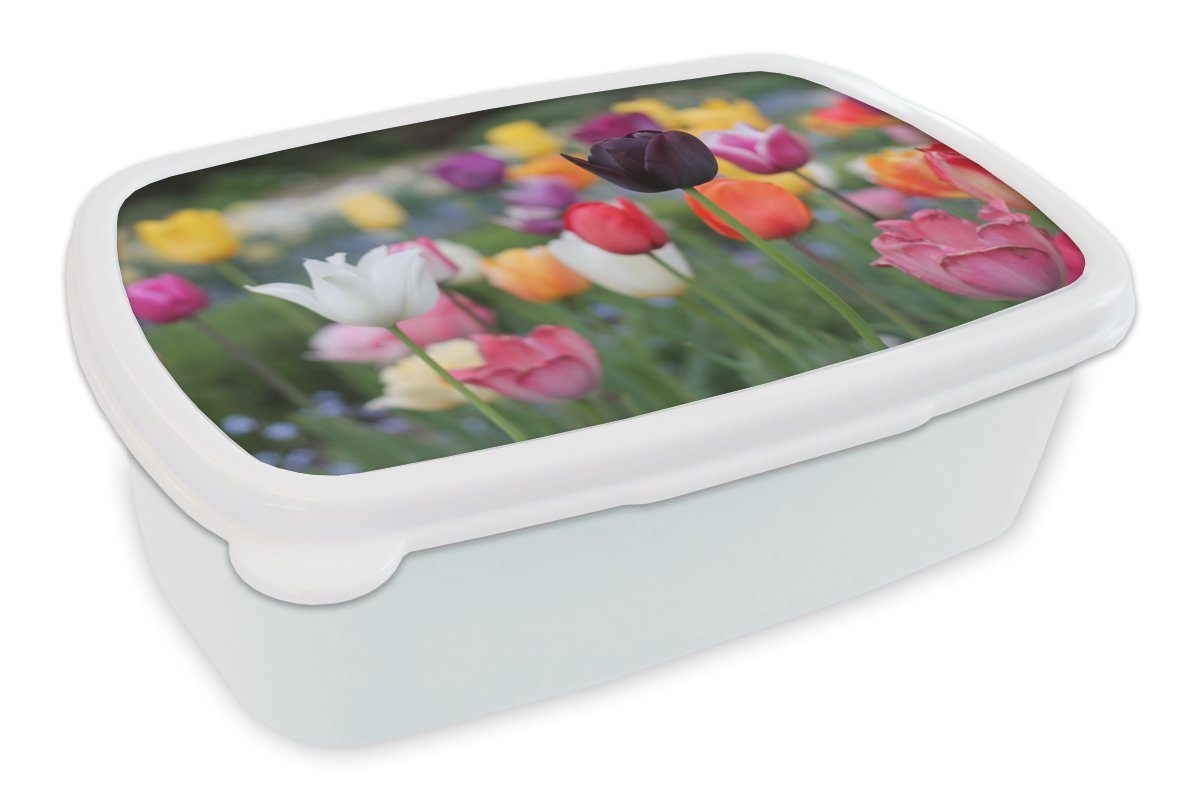 MuchoWow Lunchbox Ein Feld voller bunter Tulpen, Kunststoff, (2-tlg), Brotbox für Kinder und Erwachsene, Brotdose, für Jungs und Mädchen weiß