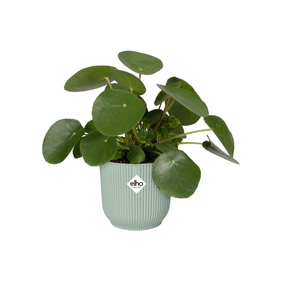 Elho Blumentopf Elho Blumentopf Vibes Fold Ø 14 x 13 cm sorbet günstig online kaufen