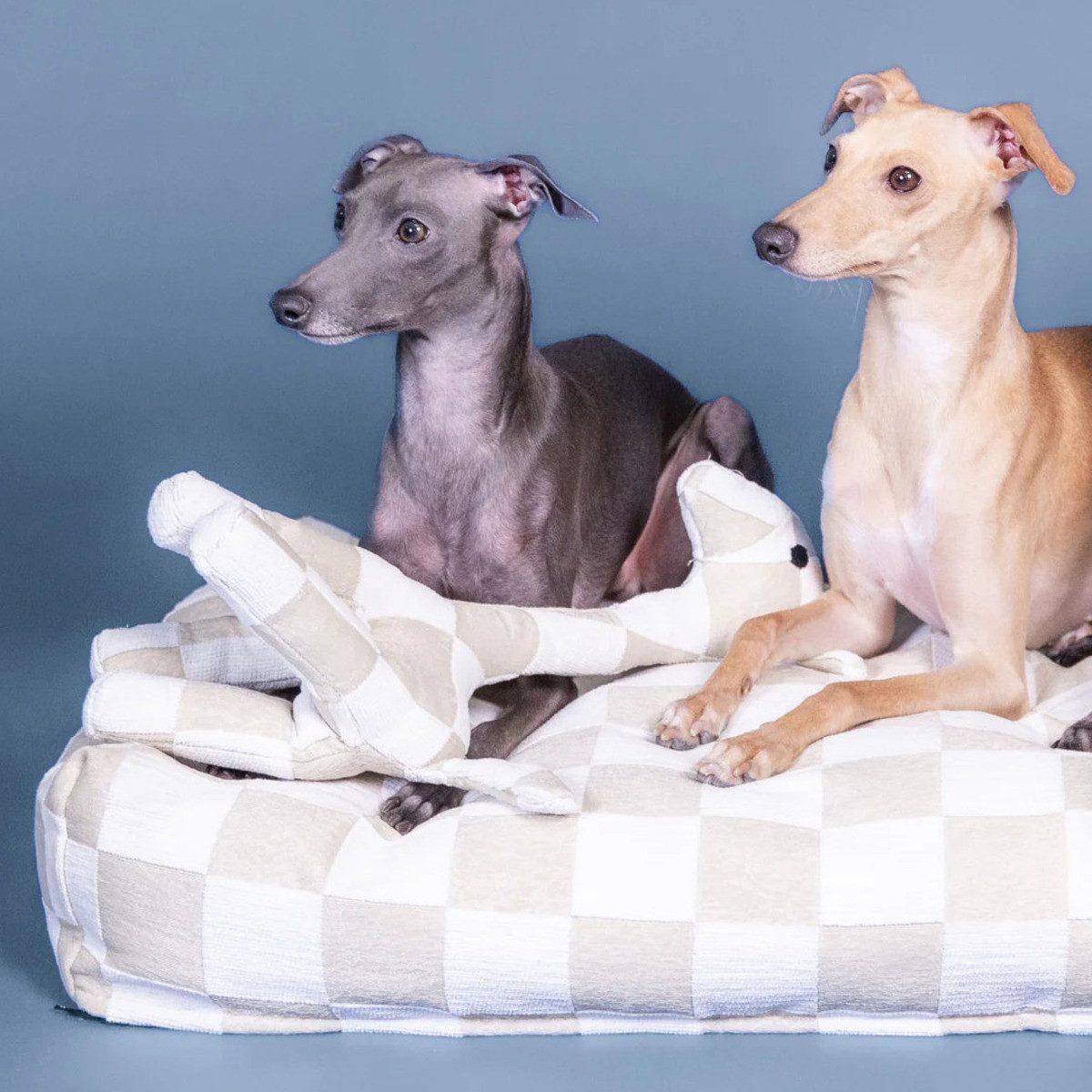 PAIKKA Tierkuscheltier Hundespielzeug Giraffe günstig online kaufen