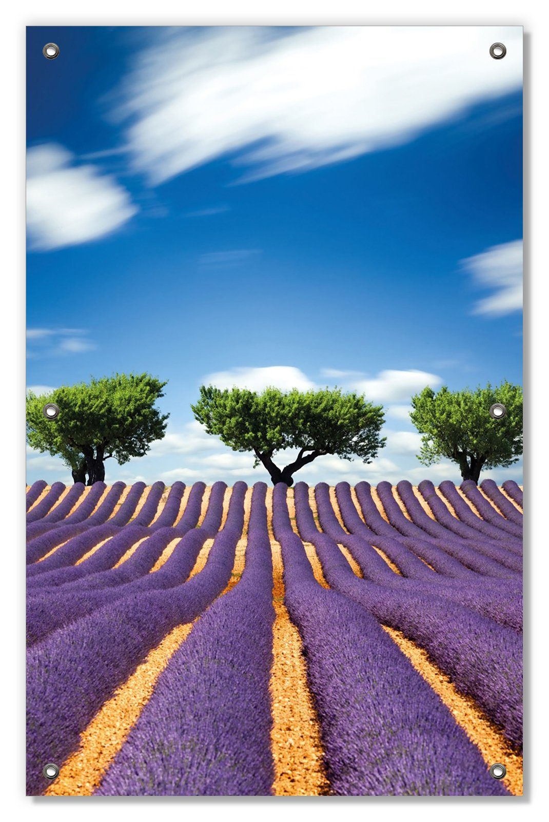 Sonnenschutz Abstraktes lila Blumenfeld mit Lavendel, Wallario, blickdicht, mit Saugnäpfen, wiederablösbar und wiederverwendbar