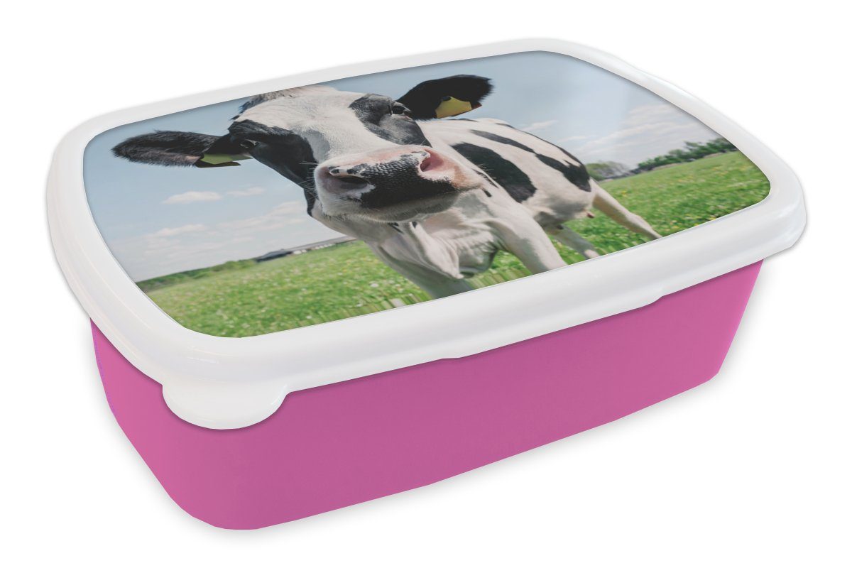 MuchoWow Lunchbox Kuh - Wiese - Natur - Tiere - Gras, Kunststoff, (2-tlg), Brotbox für Erwachsene, Brotdose Kinder, Snackbox, Mädchen, Kunststoff rosa | Lunchboxen