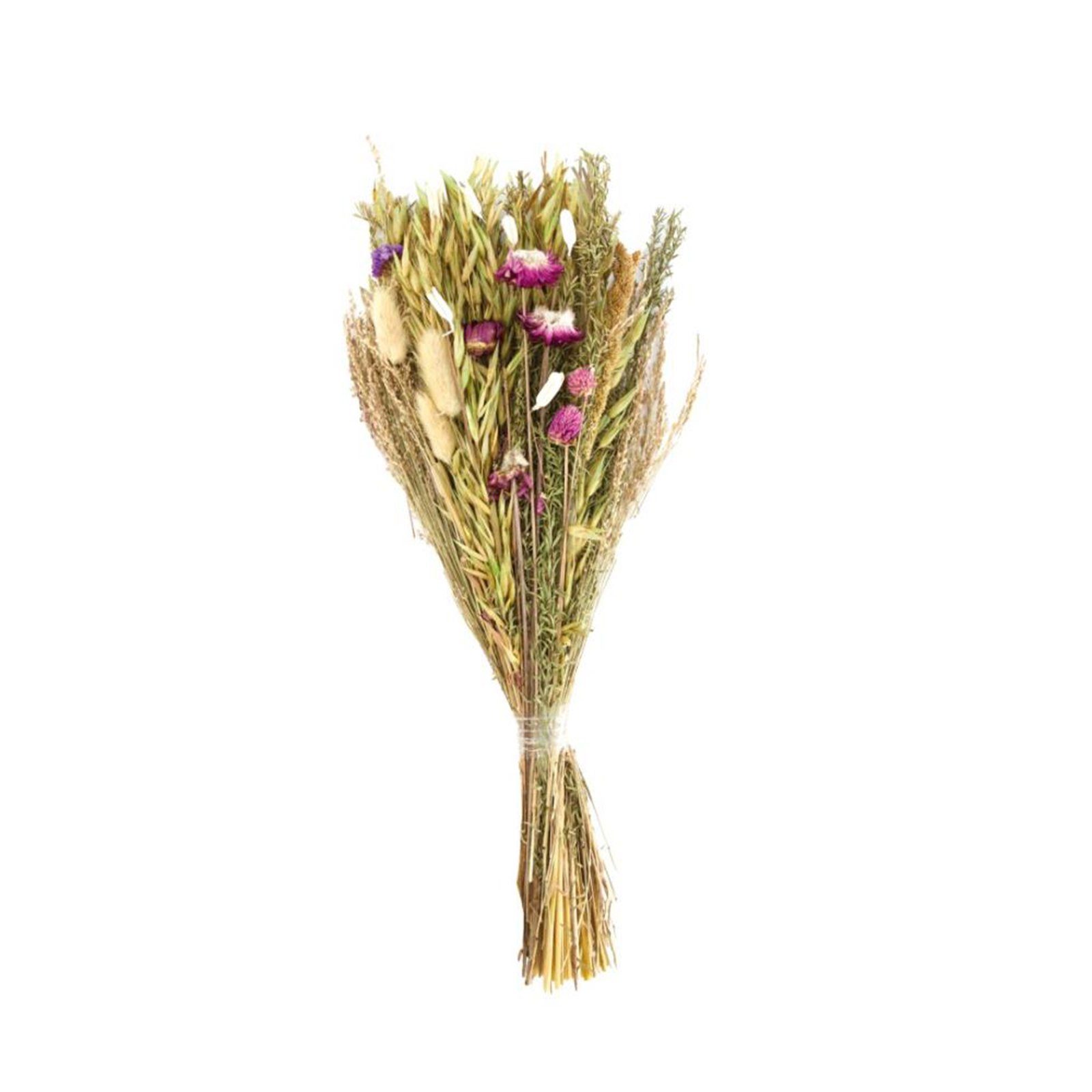 Trockenblume Getrockneter Blumenstrauß natur - dried flower bouquet - 42-45 cm, DIJK