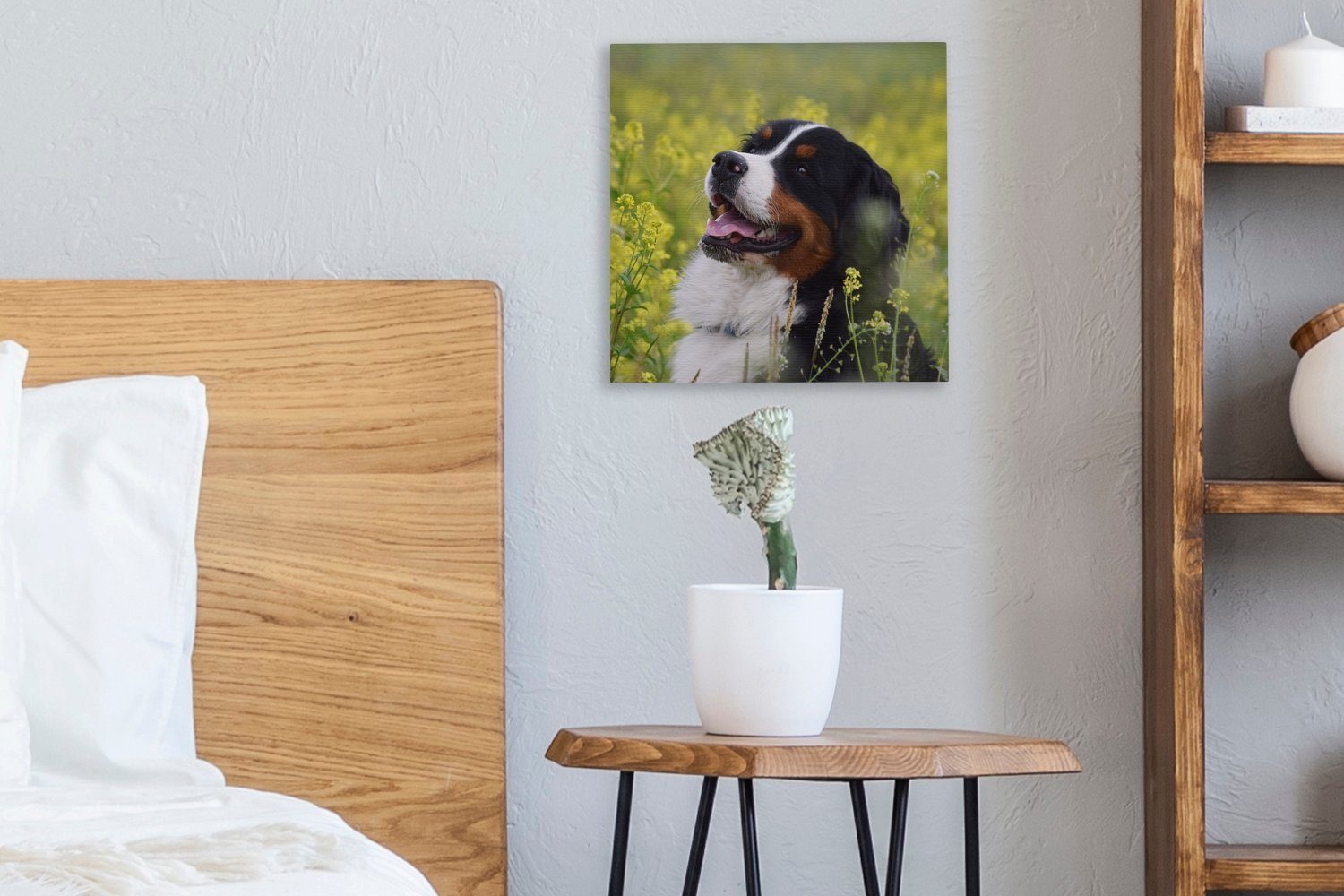 Berner gelben Schlafzimmer Leinwandbild Bilder für Sennenhund (1 St), Blumen, Leinwand Wohnzimmer OneMillionCanvasses® Ein zwischen