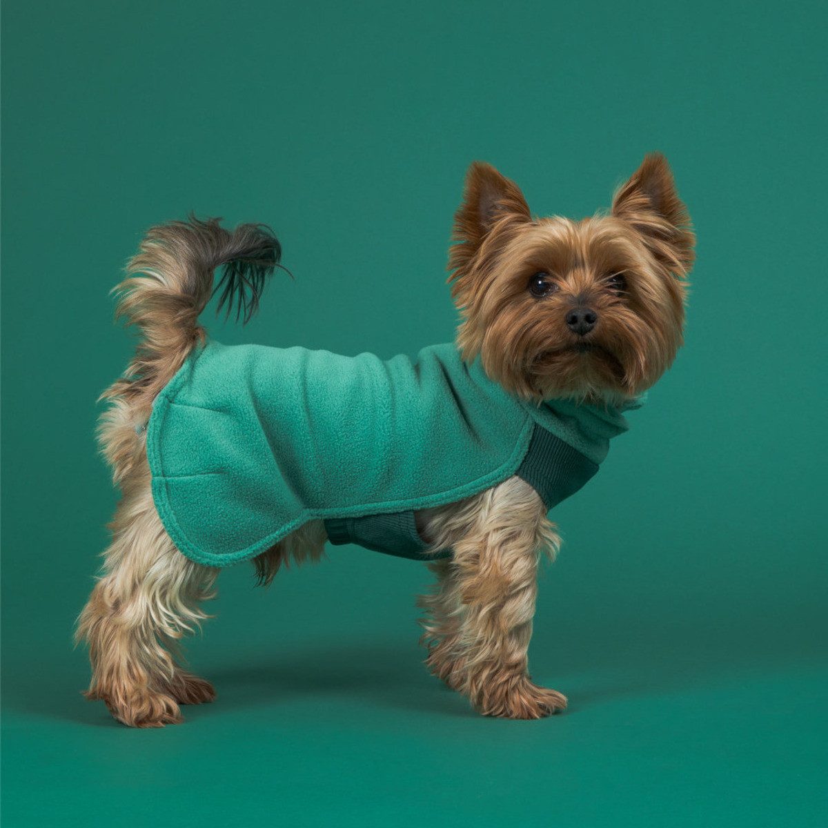 PAIKKA Hundepullover Hunde Pullover "Seawool Shirt" green