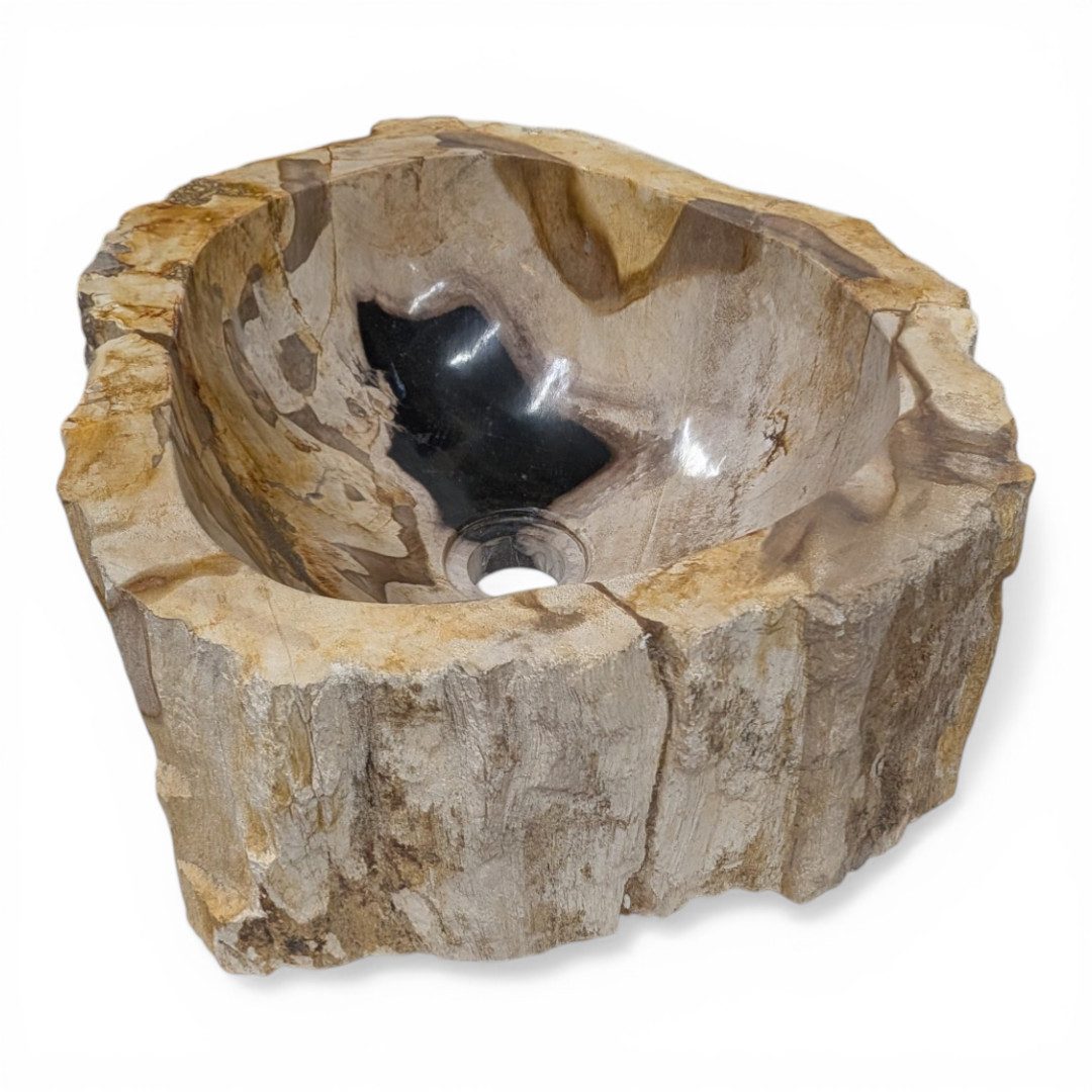 Kinaree Aufsatzwaschbecken Versteinertes Holz Waschbecken #15, poliert, Naturstein, Braun, Schwarz, Einzelstück