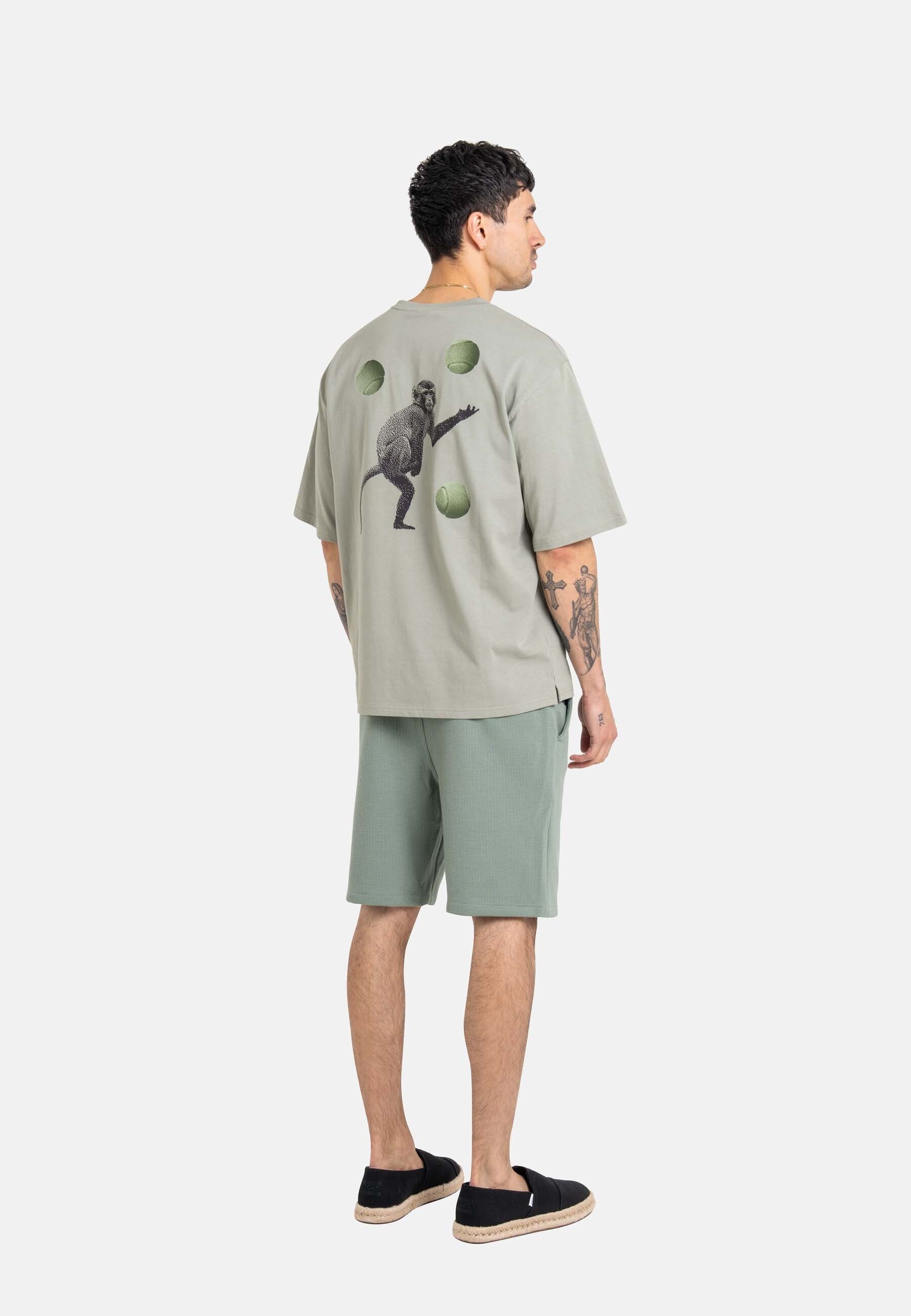 REELL Chinoshorts Surface
