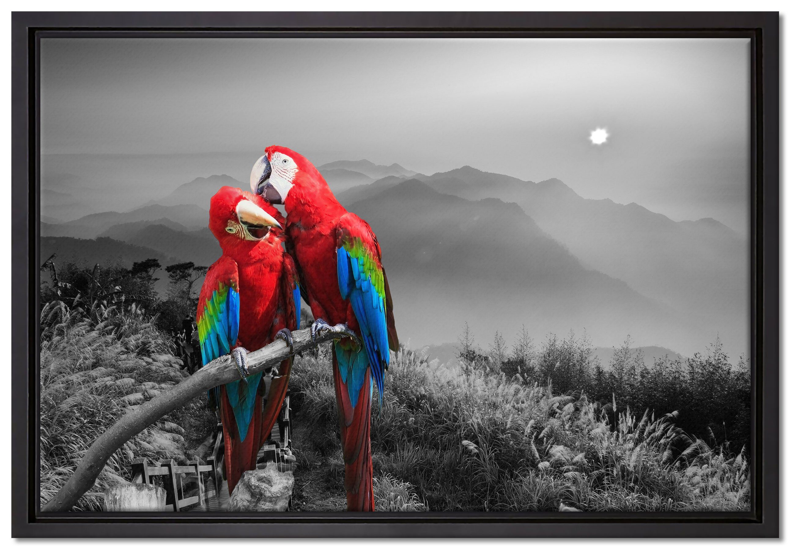 Pixxprint Leinwandbild süße Papageien auf Ast, Wanddekoration (1 St), Leinwandbild fertig bespannt, in einem Schattenfugen-Bilderrahmen gefasst, inkl. Zackenaufhänger