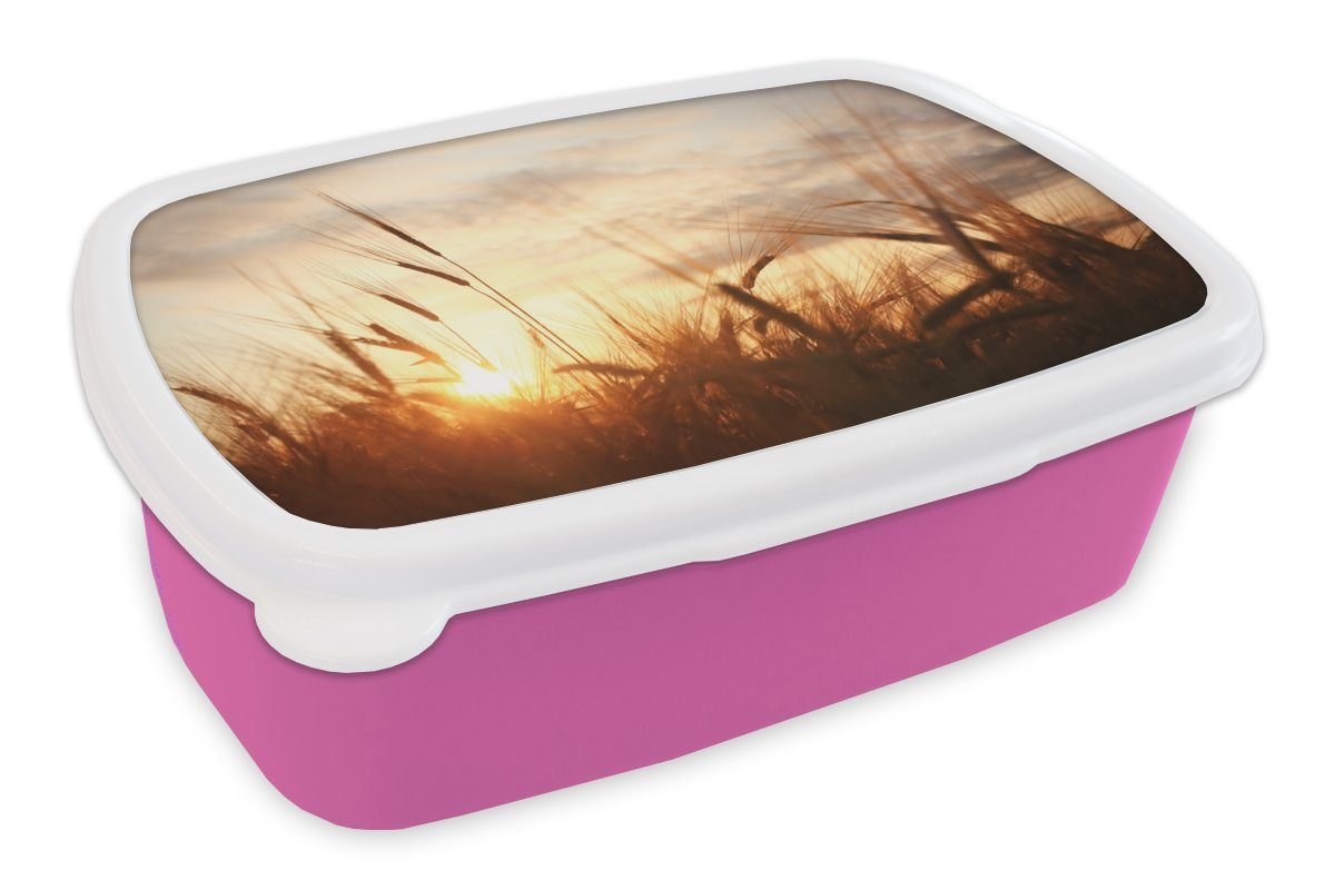 MuchoWow Lunchbox Schilf - Gras - Sonnenuntergang - Natur - Horizont, Kunststoff, (2-tlg), Brotbox für Erwachsene, Brotdose Kinder, Snackbox, Mädchen, Kunststoff rosa