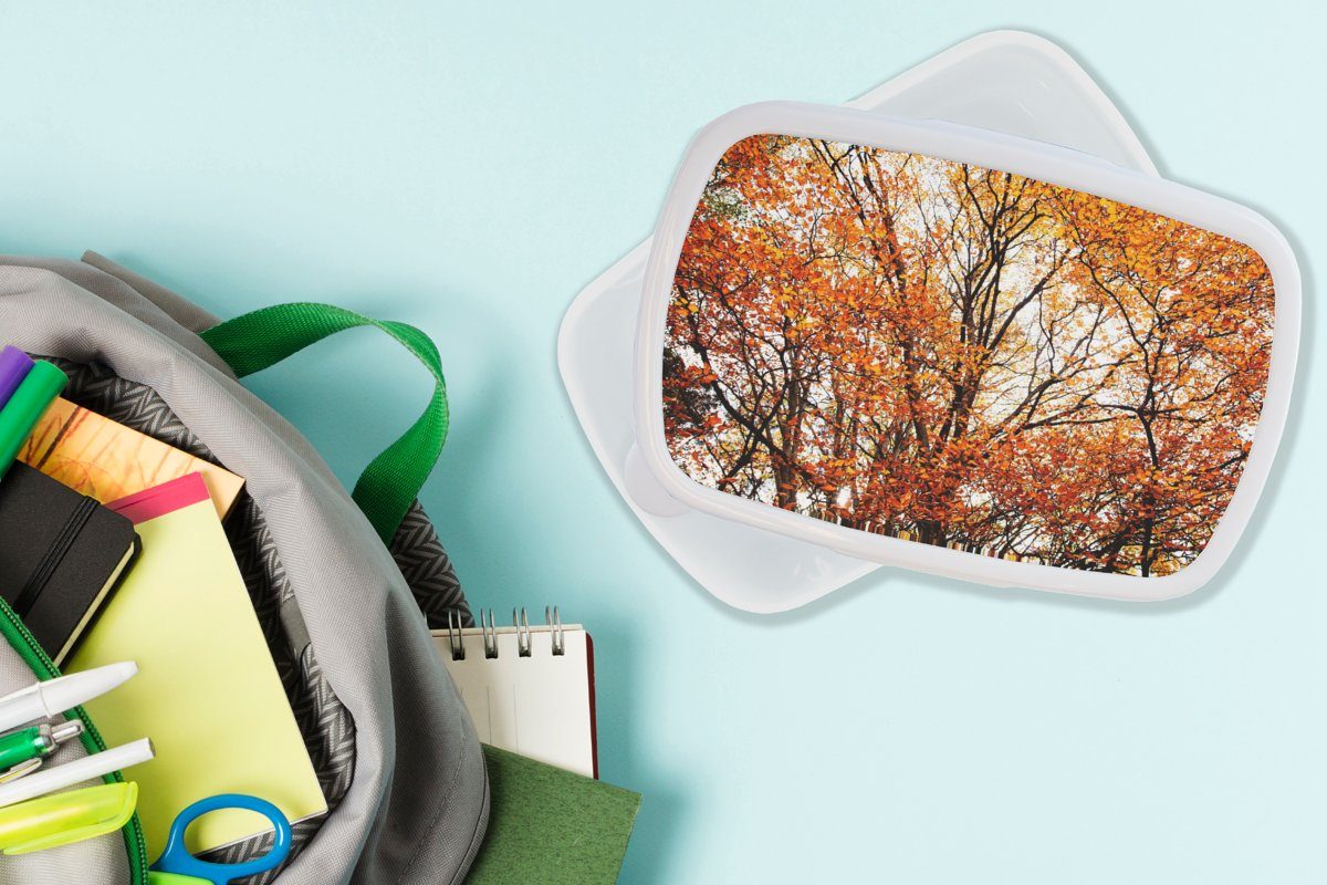 für Kunststoff, Lunchbox weiß für Brotdose, Kinder und - und Wald Jungs (2-tlg), Brotbox - MuchoWow Mädchen Jahreszeiten, Herbst Erwachsene,