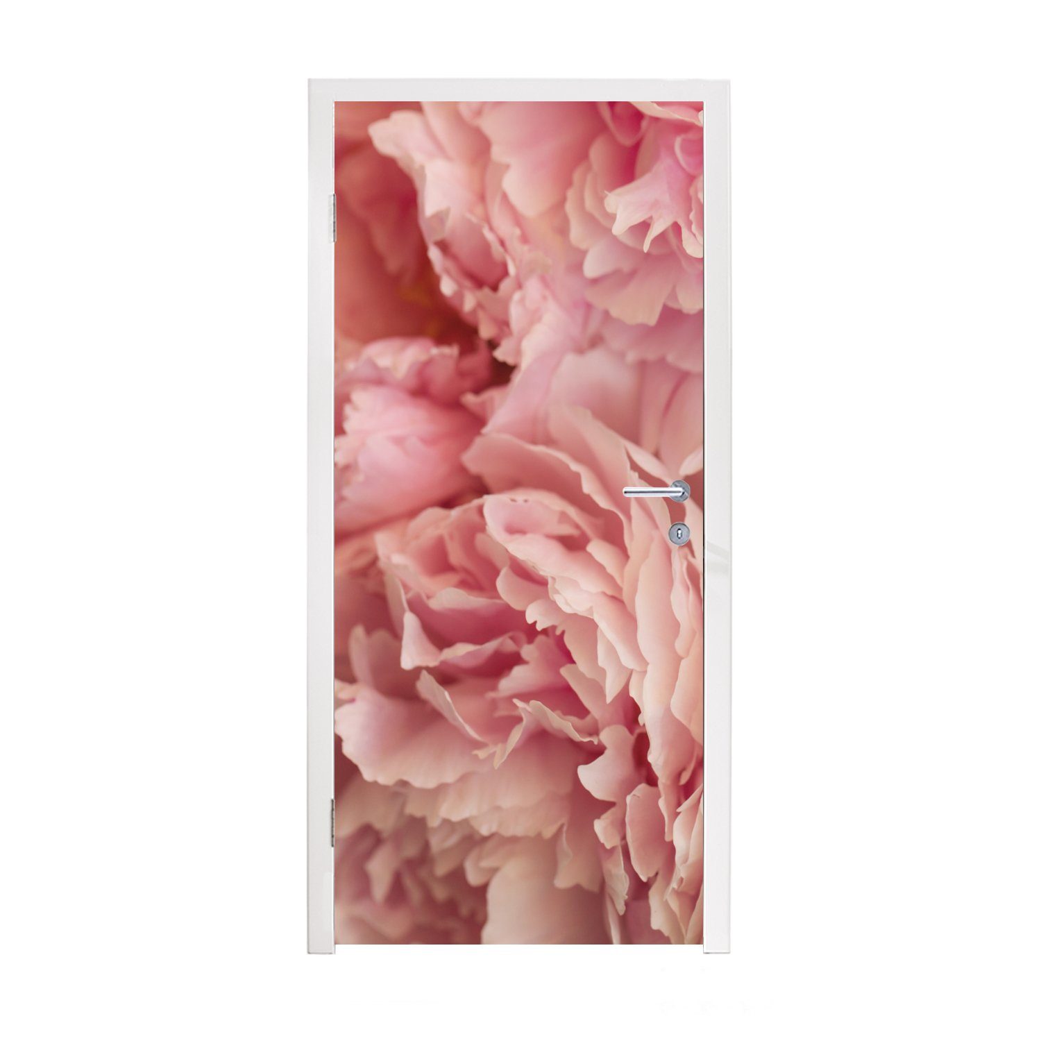 Draufsicht Fototapete rosa (1 MuchoWow bedruckt, Pfingstrosen, St), Tür, cm einen Türtapete 75x205 Türaufkleber, auf Strauß Matt, für