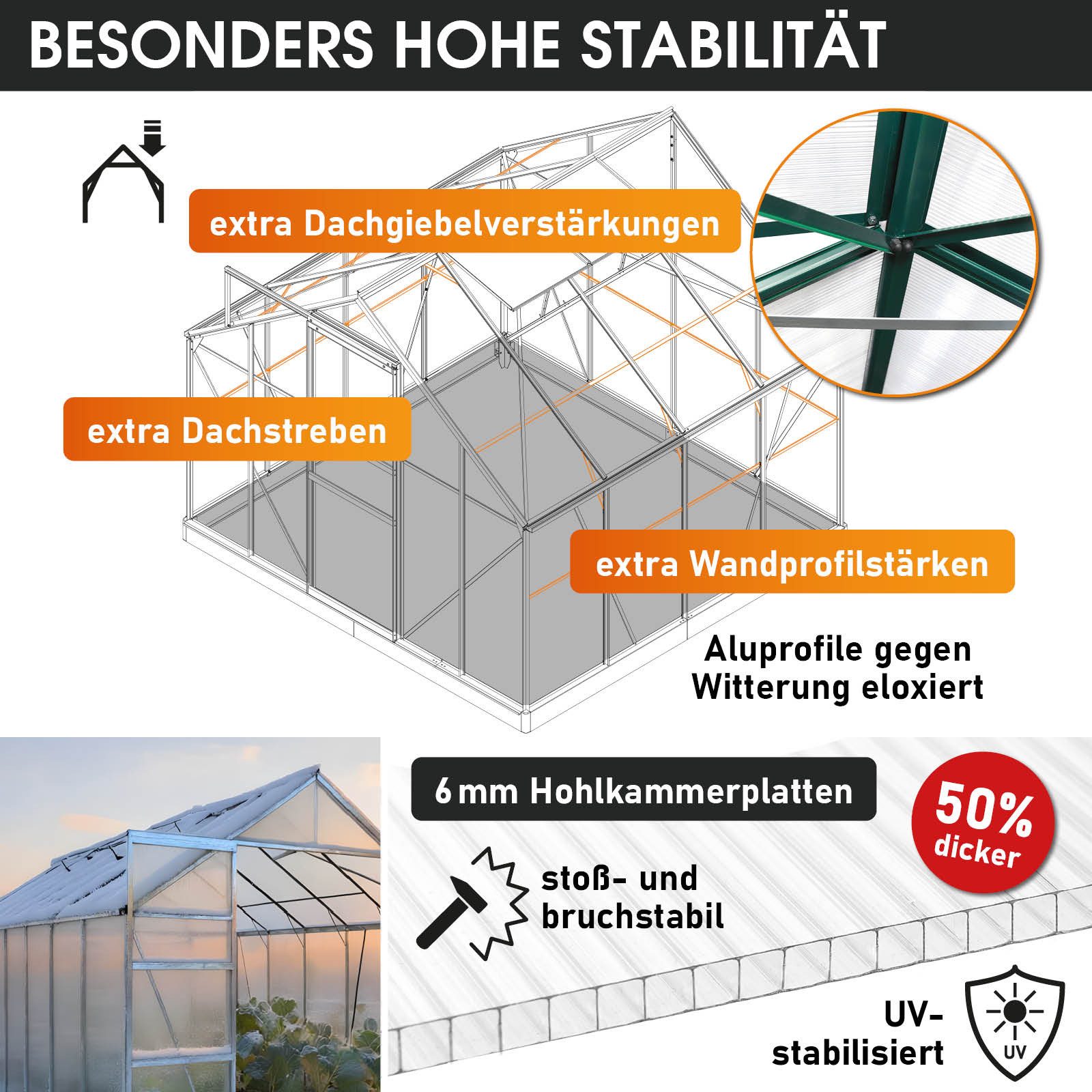 BRAST Gewächshaus ALU mit Fundament rostfrei 250x250x205cm TÜV geprüft, BxTxH: 250 x 250 x 205 cm, wetterfestes hochwertiges Aluminium, Temperaturbeständig, Wär – Bild 4 von 5