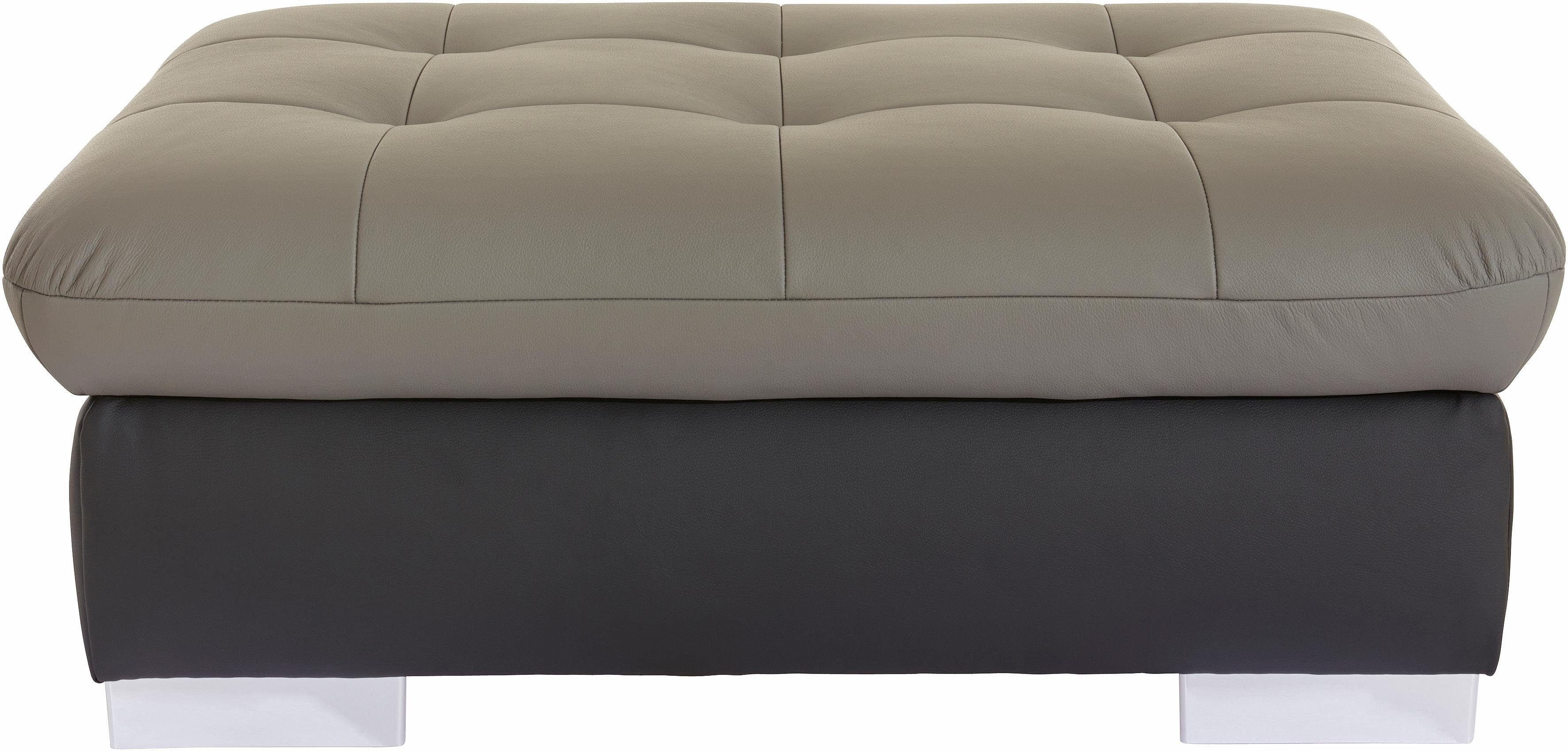 Hocker Palomino