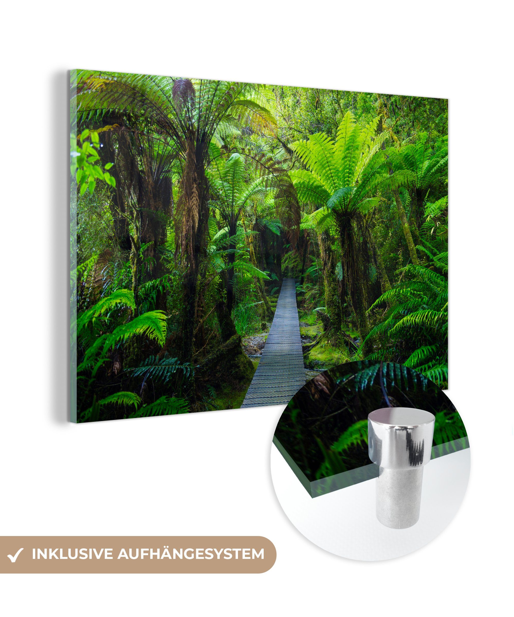 MuchoWow Acrylglasbild Hölzerner Pfad durch den Dschungel, (1 St), Acrylglasbilder Wohnzimmer & Schlafzimmer