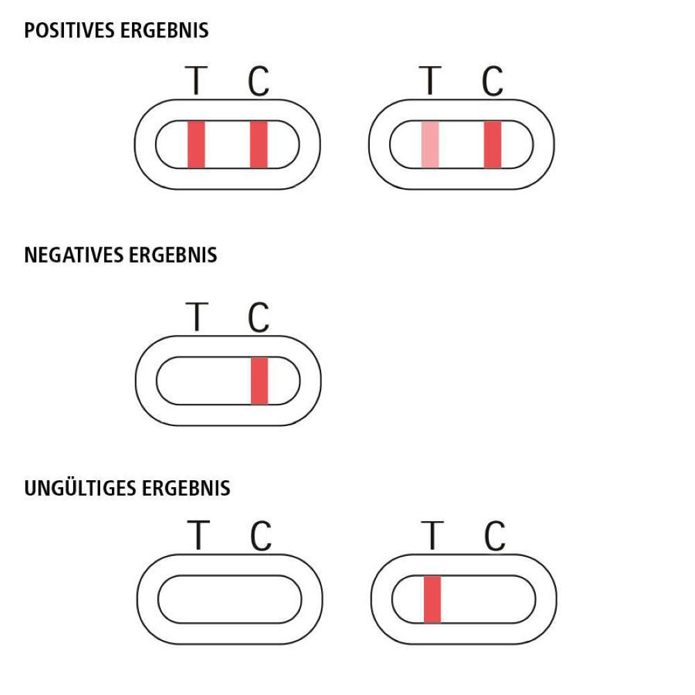 siegmund care Influenza-Schnelltest Schilddrüse Selbsttest, 1-tlg., Genauigkeit 98,1 %, Dauer des Tests: 10 Minuten