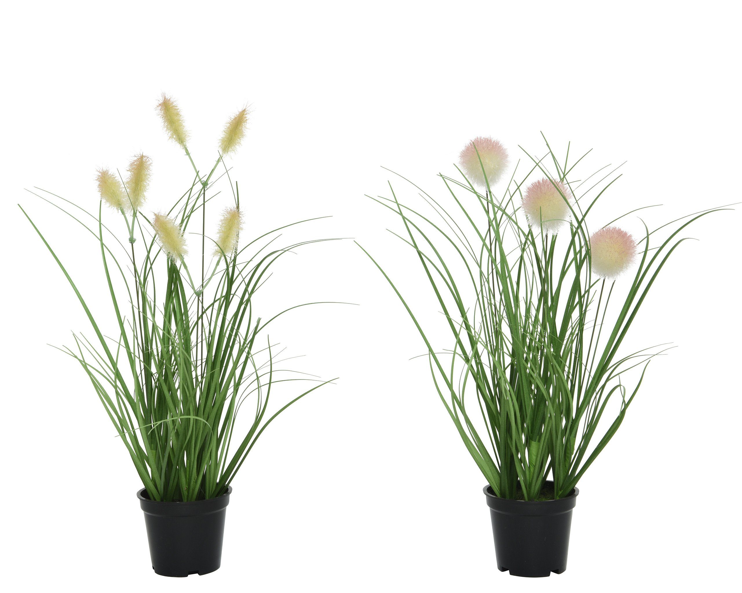 Kunstpflanze, Decoris season decorations, Künstliches Pampas günstig online kaufen