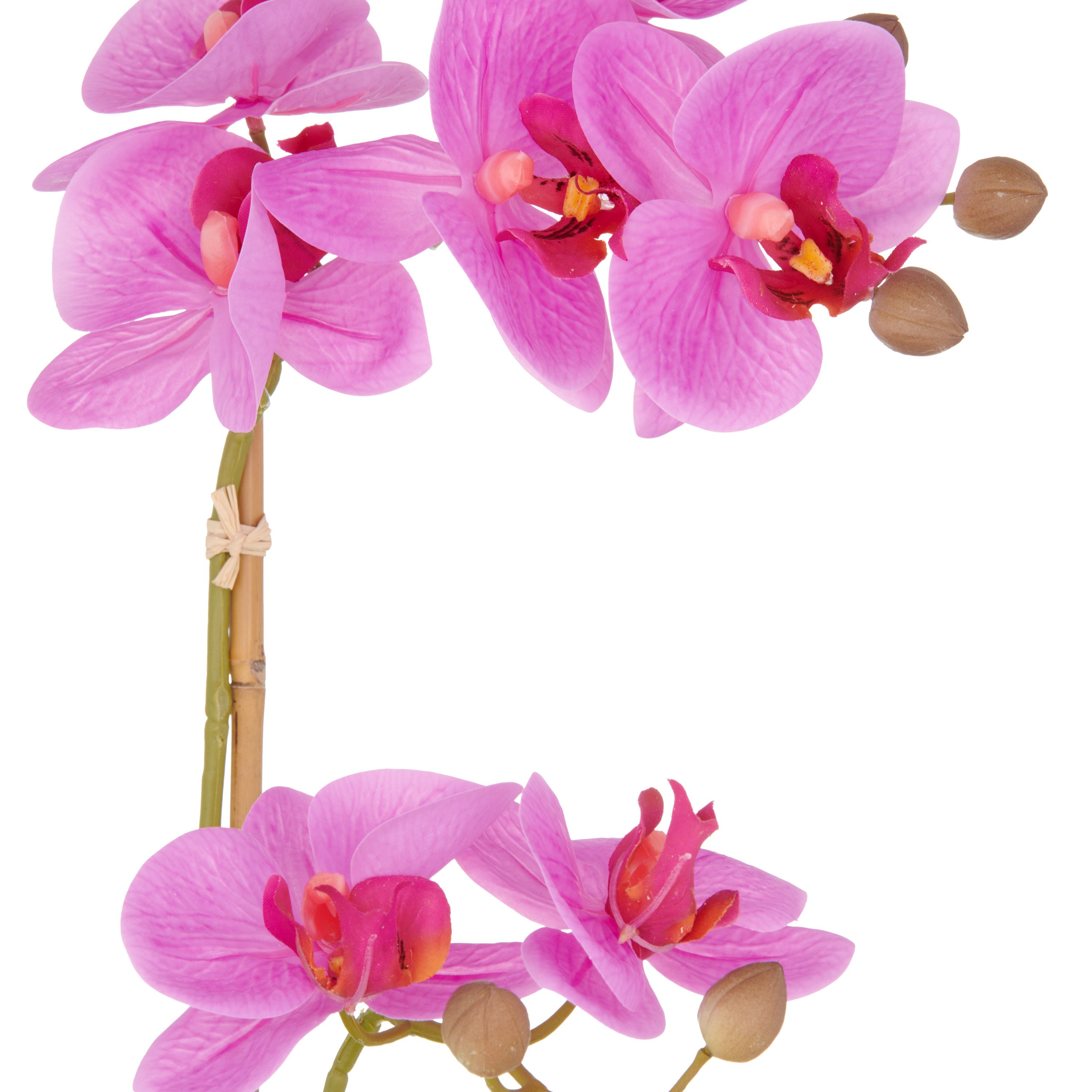 Kunstorchidee Orchidee Phalaenopsis, Creativ green, Höhe günstig online kaufen