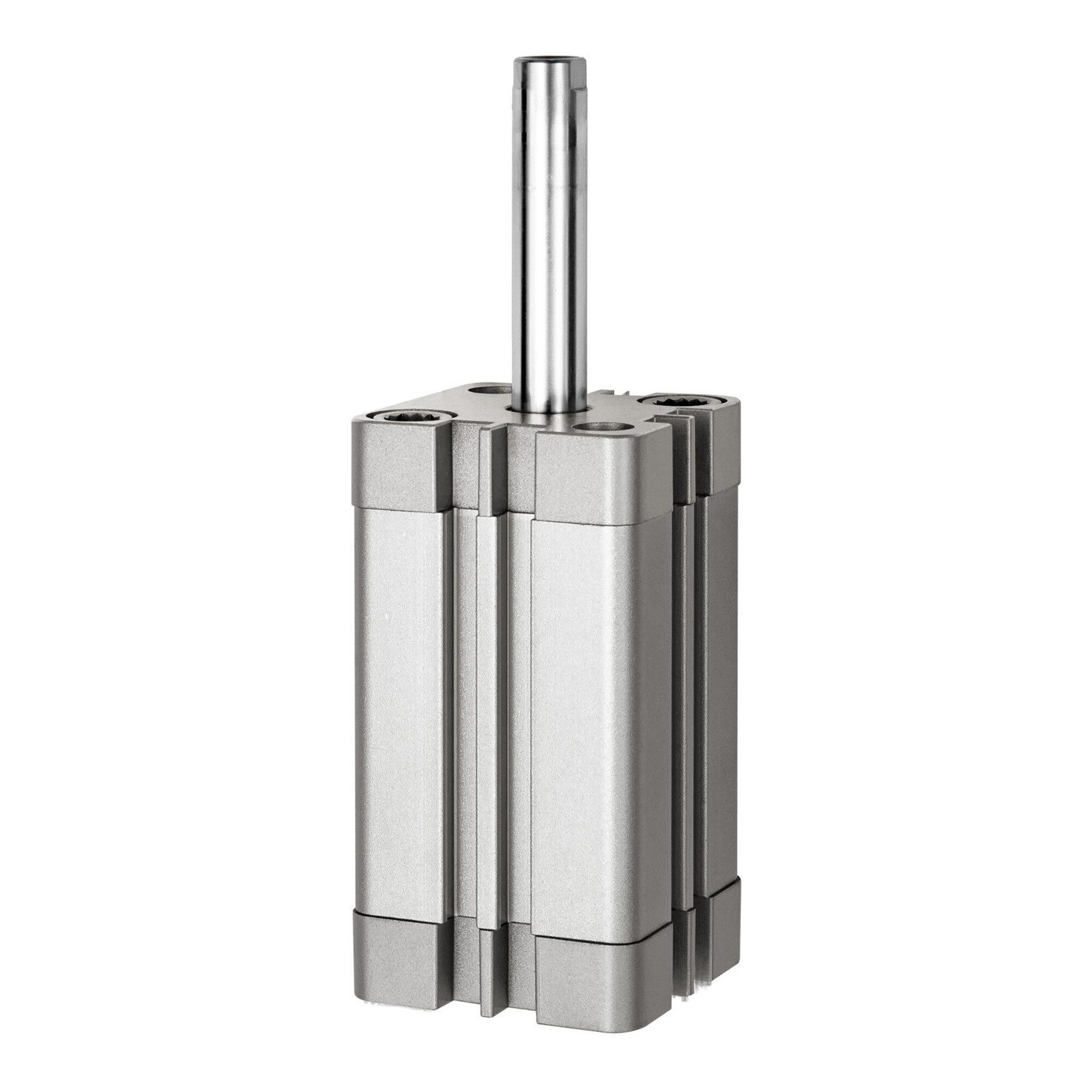 RIEGLER Zylinder Riegler Kompaktzyl., einfachw., IG, ausgefür, Ã˜20, Hub15, M5, ISO2128
