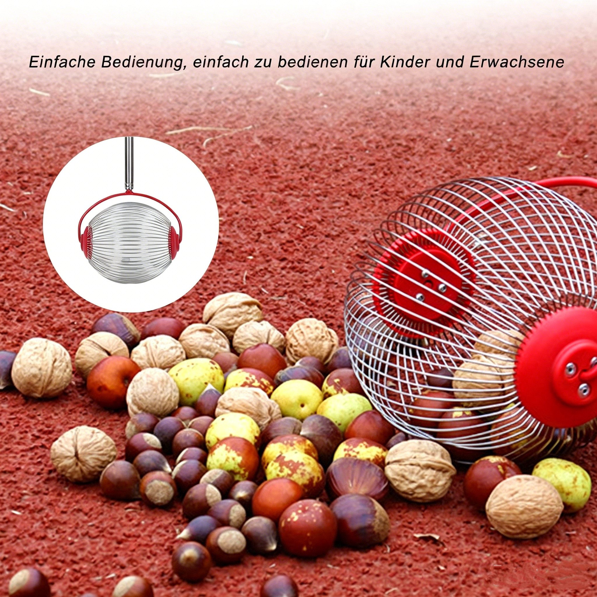 GARRYFIZH Rollsammler Rollsammler Obstsammler Edelstahl Kastaniensammler Nusssammler S, 18 cm Arbeitsbreite, (Packung Set, 1-tlg), Rückenschonender Sammler für Nüsse, Kastanien & Fallobst im Garten