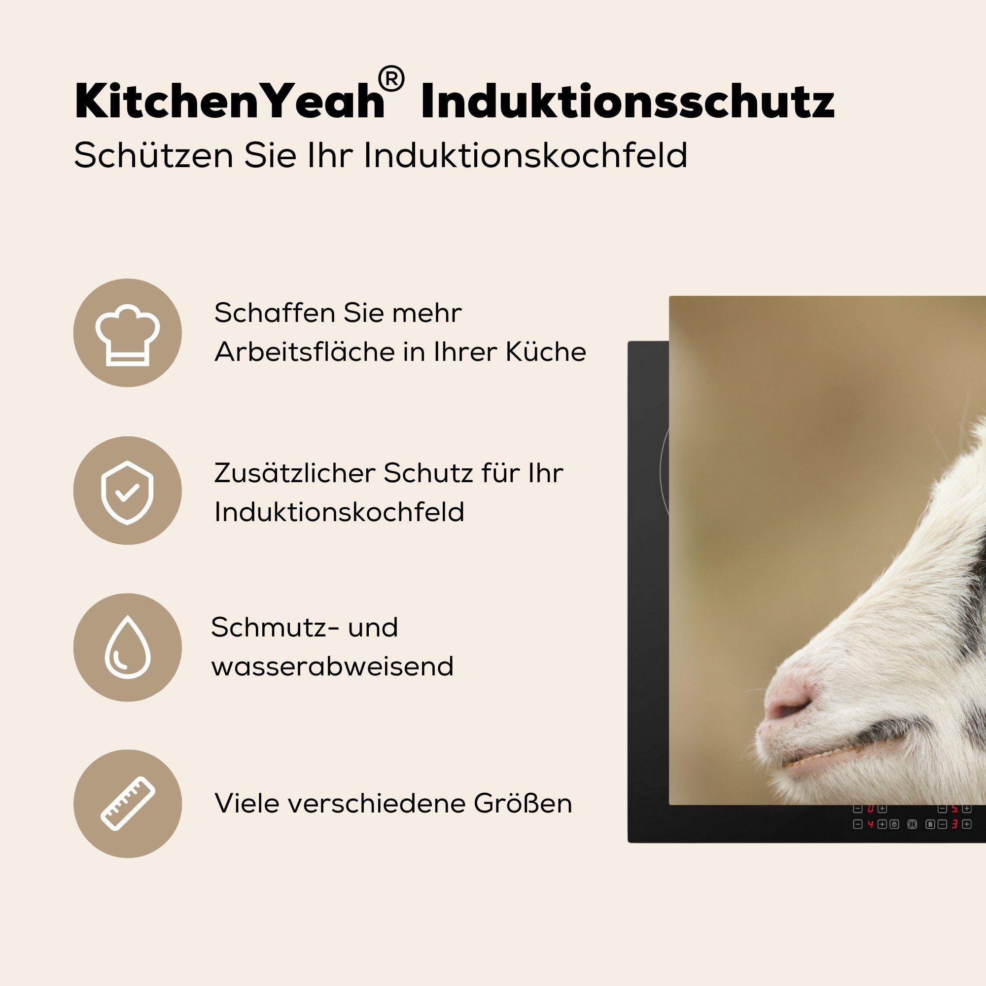 - Induktionskochfeld (1 cm, 81x52 Vinyl, MuchoWow Herdblende-/Abdeckplatte Schutz küche, Ziege - für Ceranfeldabdeckung Tier die Hörner, tlg),